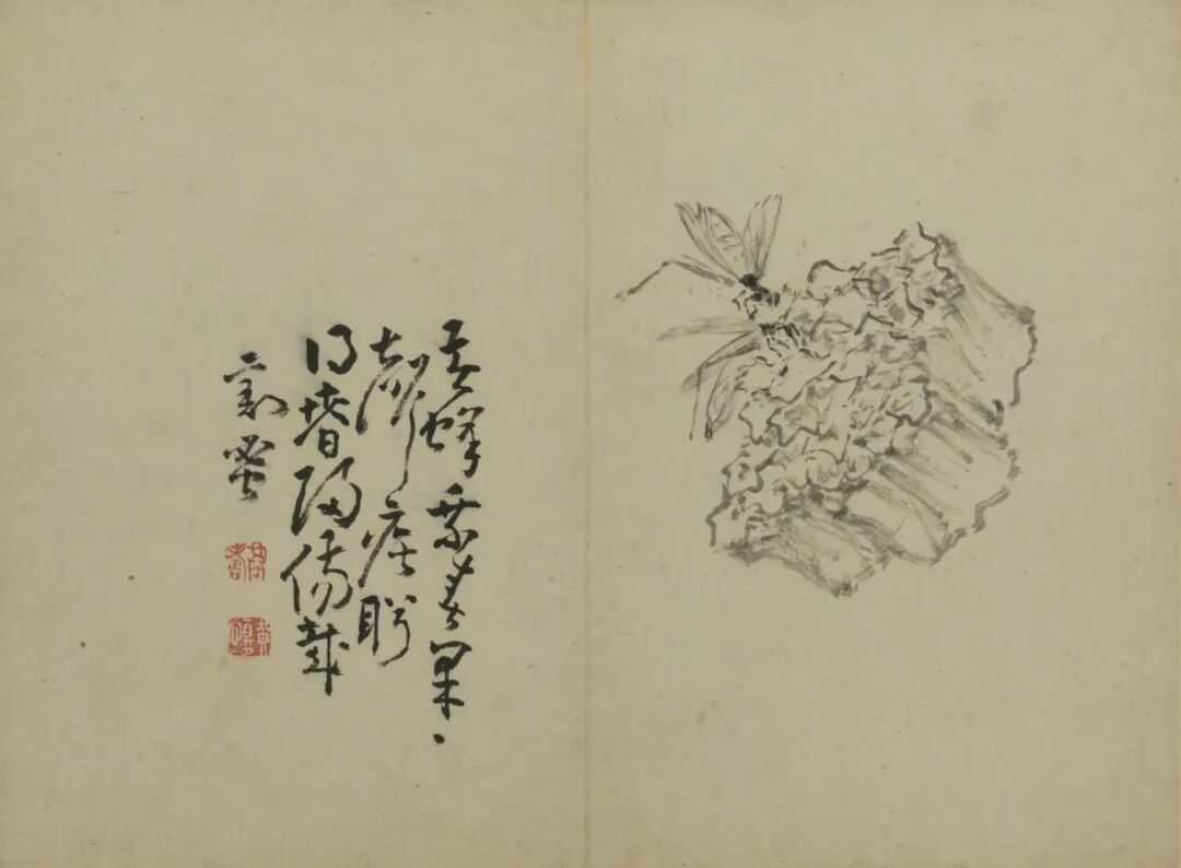 黄慎 别有风味册。黄慎（1687年6月14日—1772年），初名盛，字恭寿、恭懋
