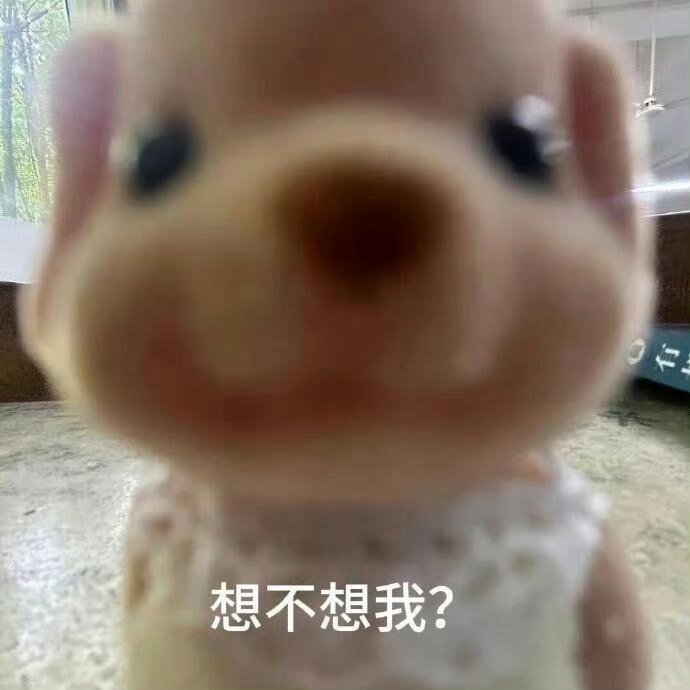 情感 小狗在我店里转圈圈，叫了两声，我以为它又想吃零食了。一抬头，老诚来了我：狗