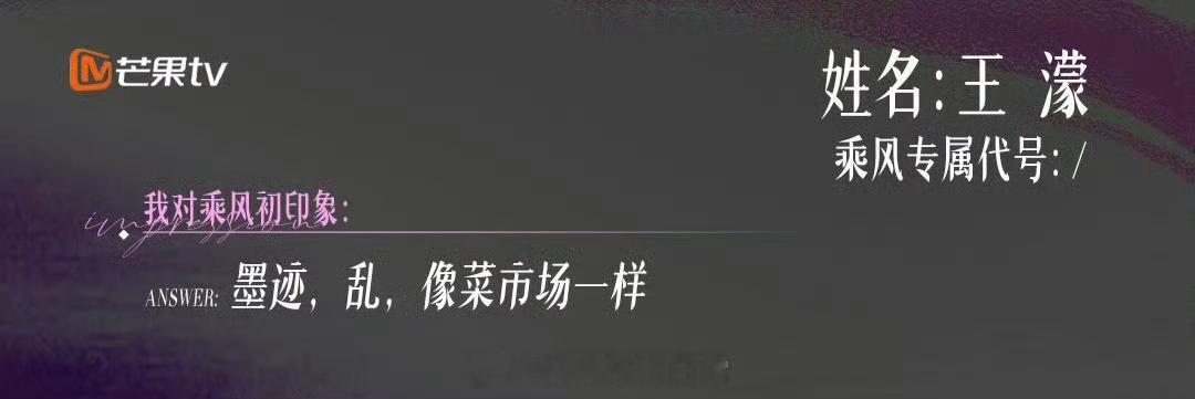 王濛对浪姐的印象是像菜市场乘风破浪的姐姐 王濛对浪姐的初印象是“墨迹、乱、像菜市