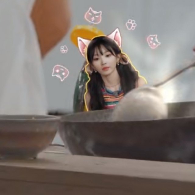 好萌一只猫🐱 