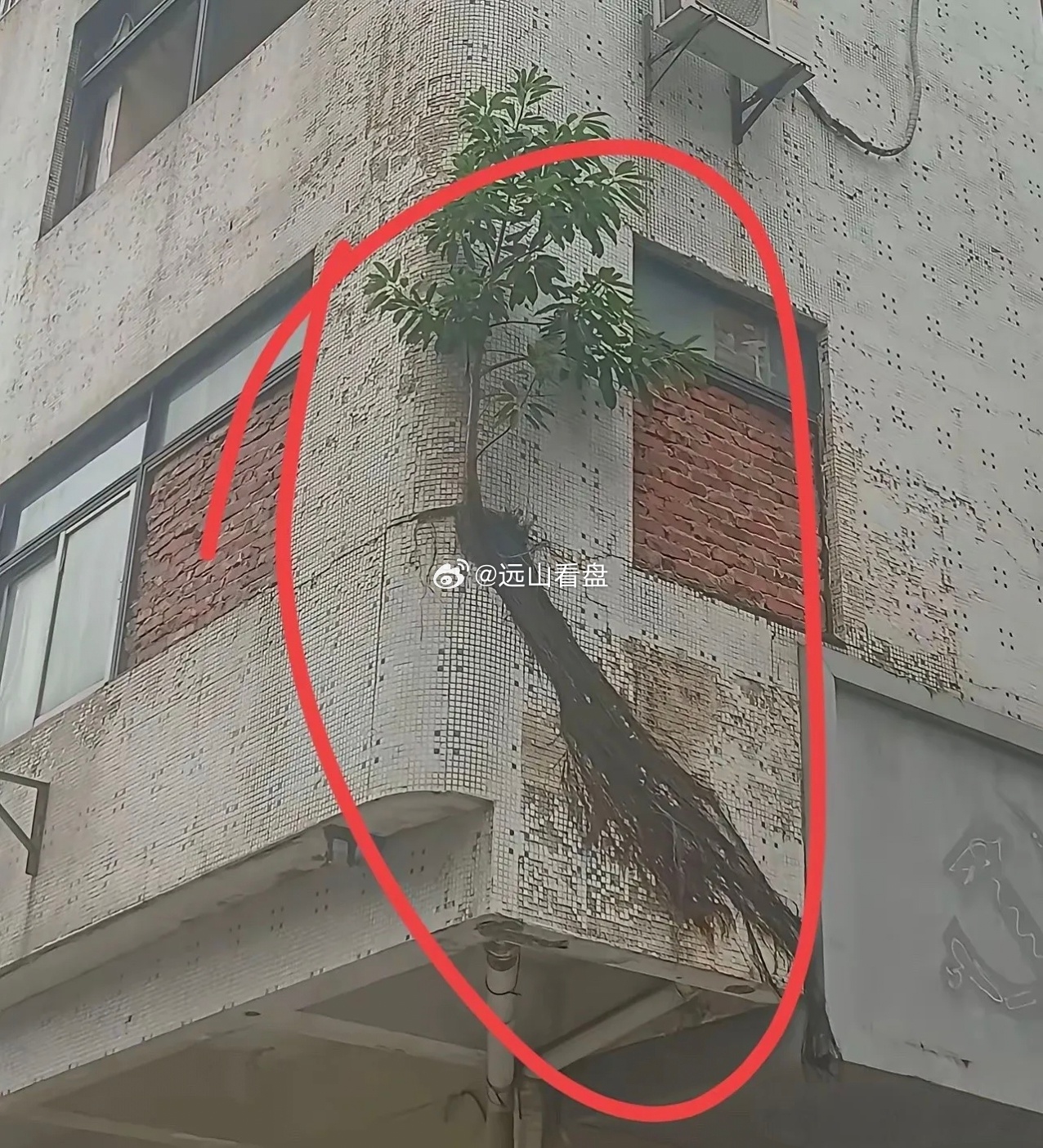 主人家估计头都大了，这管还是不管好啊！