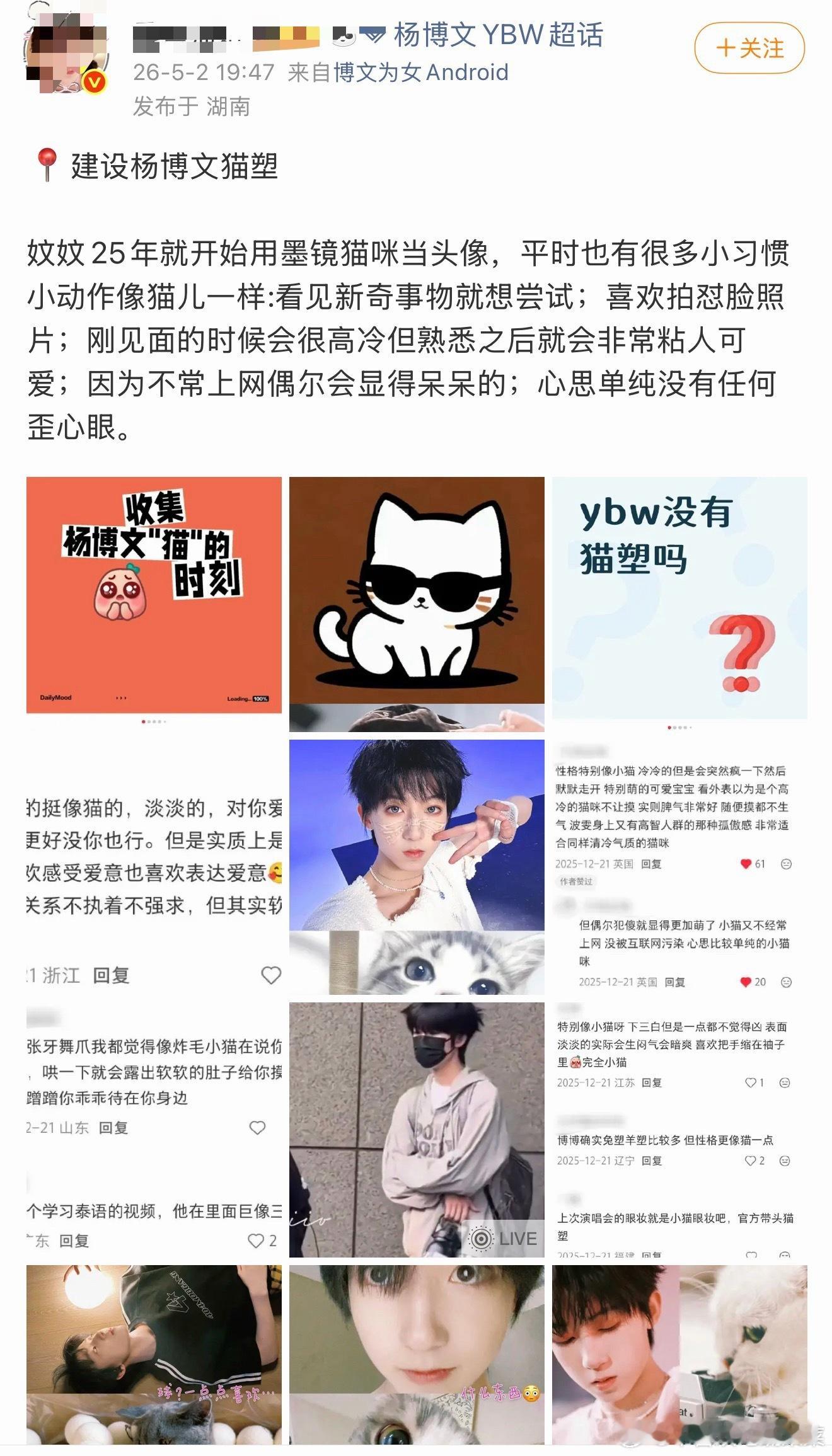 tg 不是博母先建设猫塑的时候了？一个三丽鸥Piano急啥呢 