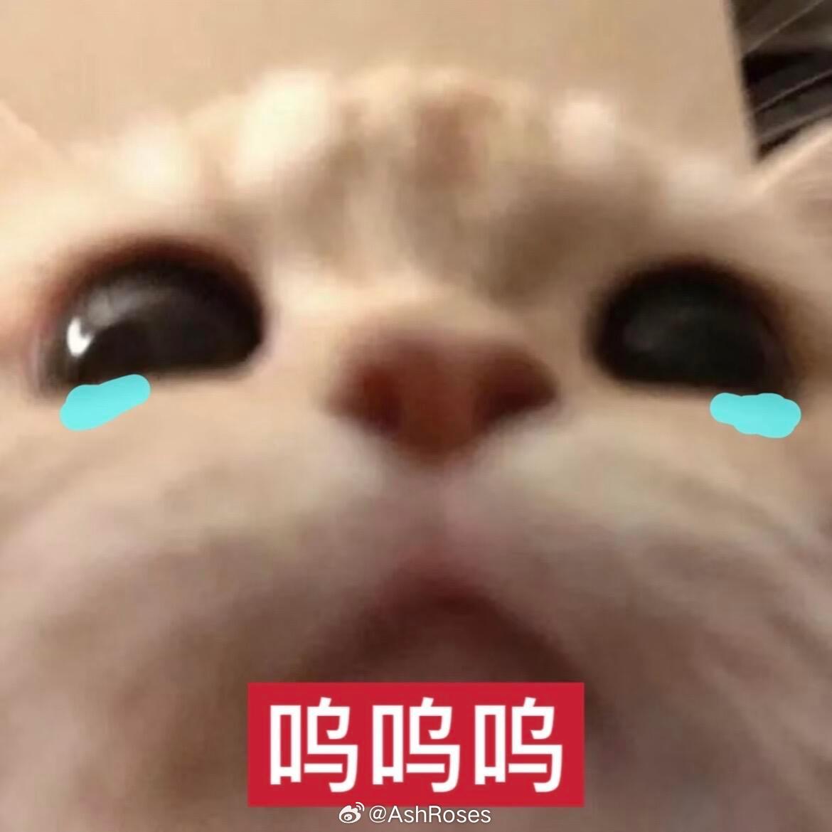 光与夜之恋萧逸  萧逸特别会照顾孩子。你出差，萧逸看家，快下训时打开视频，发现小