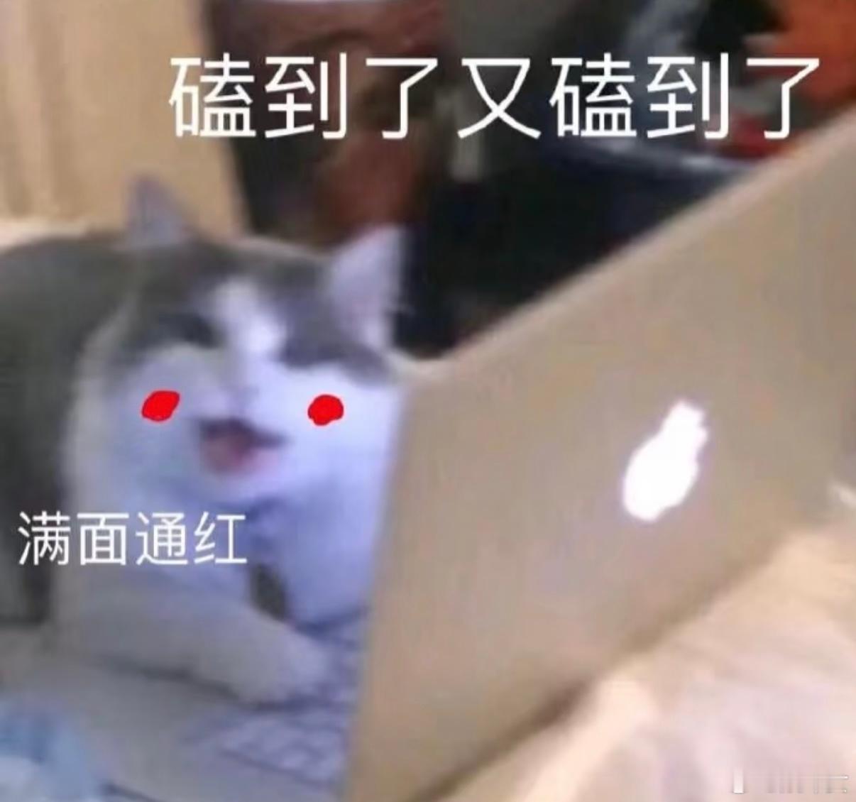 入青云雷劫刻字名场面 这就是真爱吧，哪怕知道刻不上就要达到目的不罢休，希望后续剧
