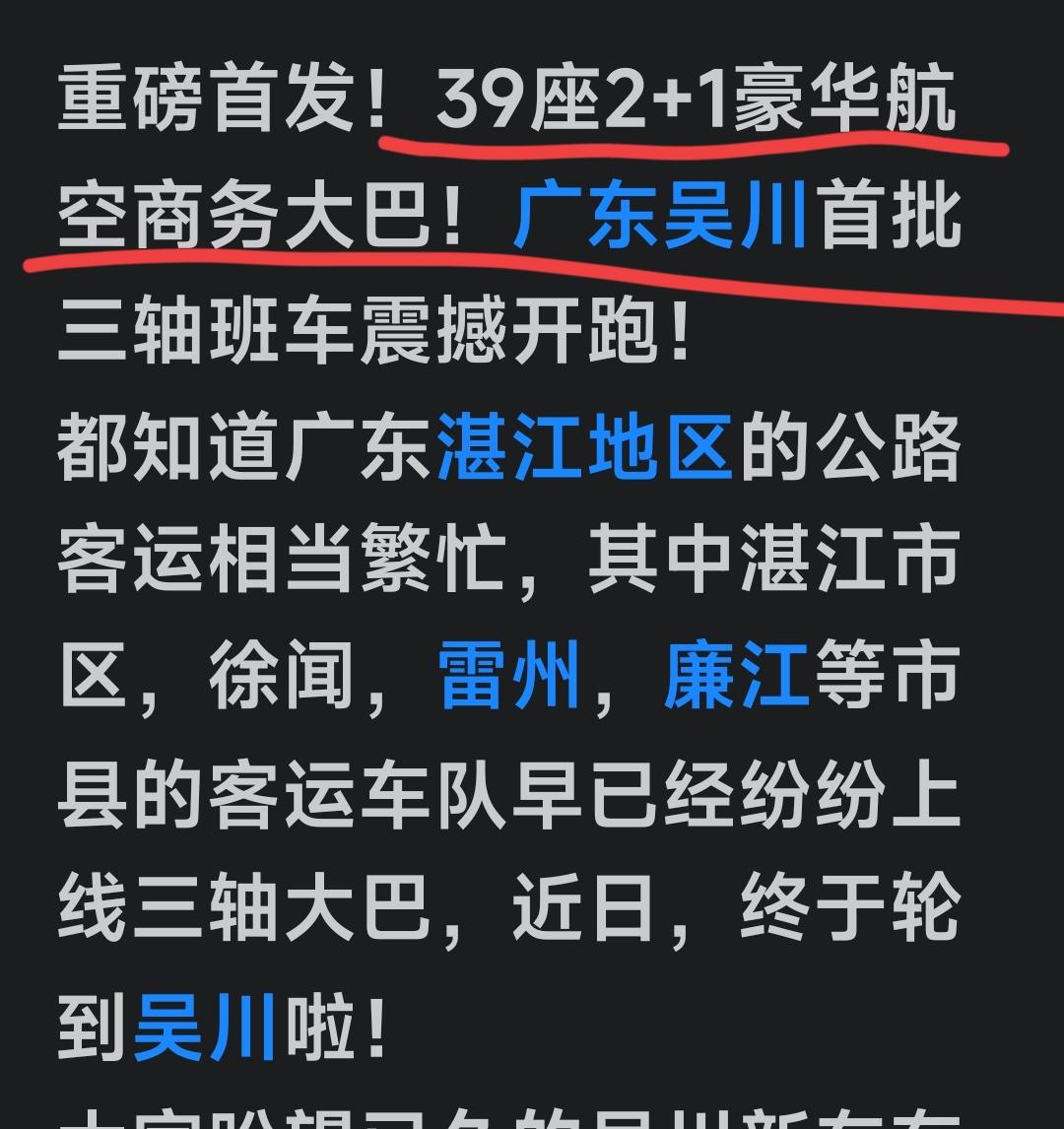 看了人家吴川的，这才叫真正的豪华航空商务大巴。
从座位数量就能看出来，一共有39