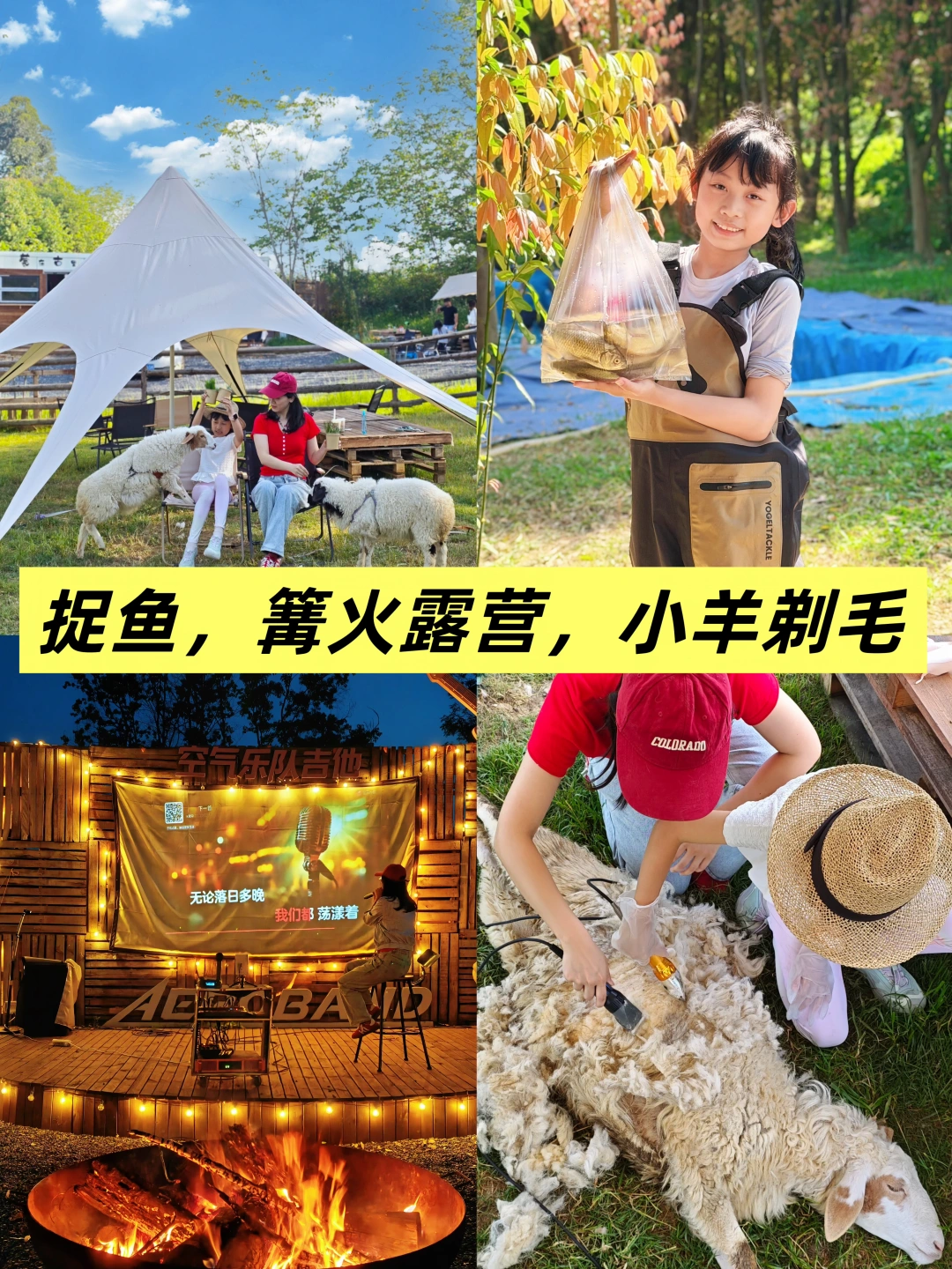 明明成都市区露营，却问我是不是🇳🇿出国了