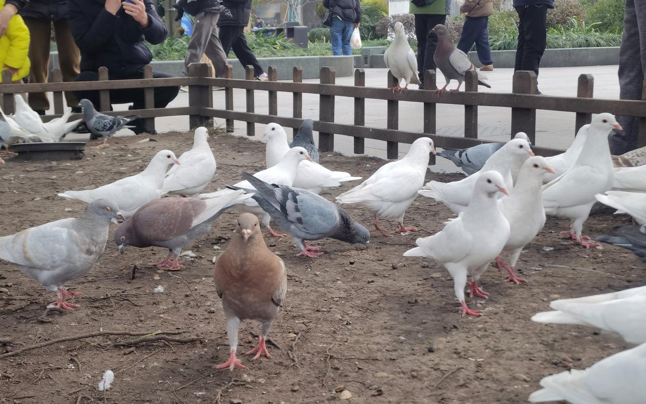 【热评】国内不可能发生这样的案件
巴黎仓库被盗损失3亿？京东回应

首都城区、专