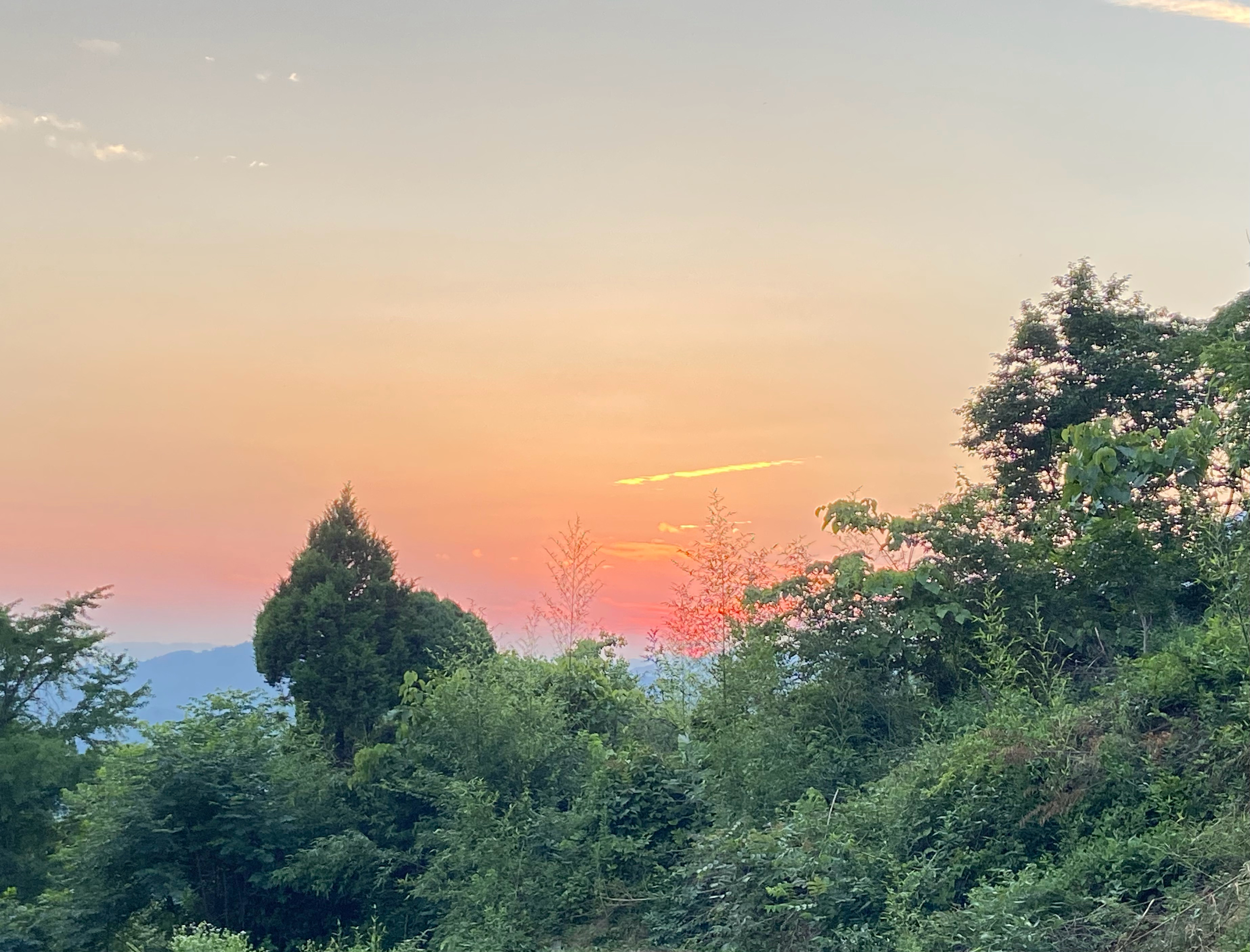 命运中可以有风霜，但那只是一份场景的代入，永远都不会成为命运功课的主要部分。祈福