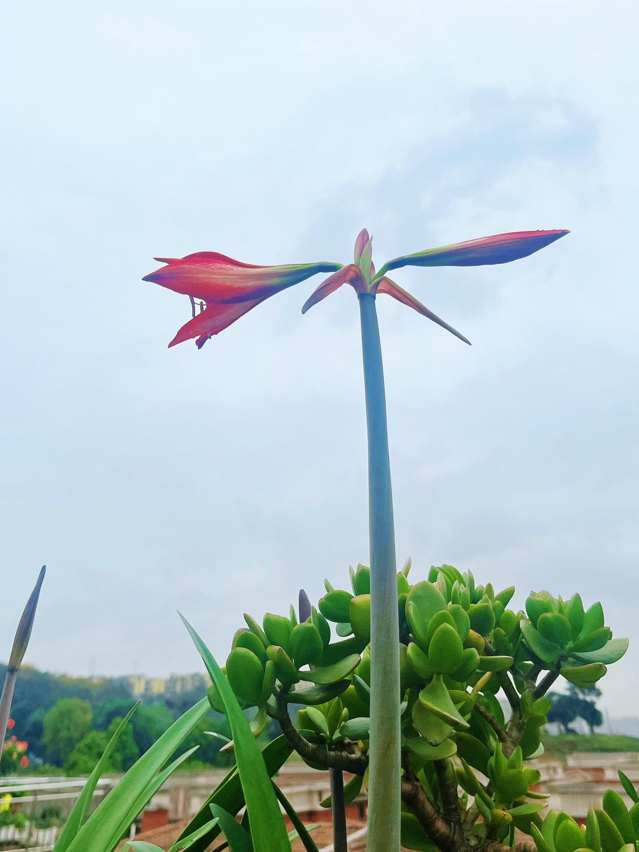 一天一地一双人上联：一山一水一风景，如何对下联
一天一地一双人
此下联对仗工整，