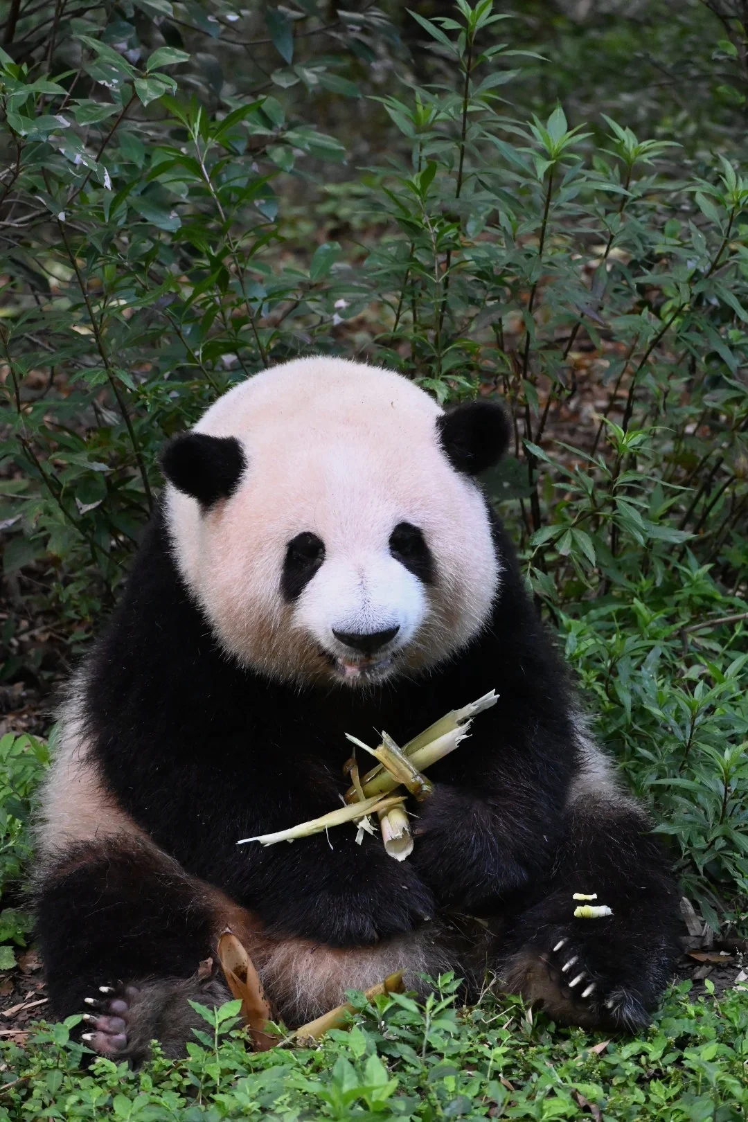 快快好起来，方方面面
