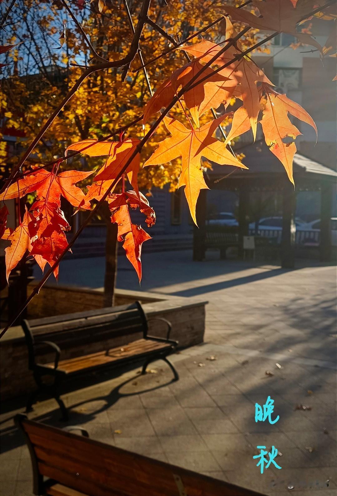 上联：棋盘三尺，能跑马，
下联：树叶九分，可遮山。