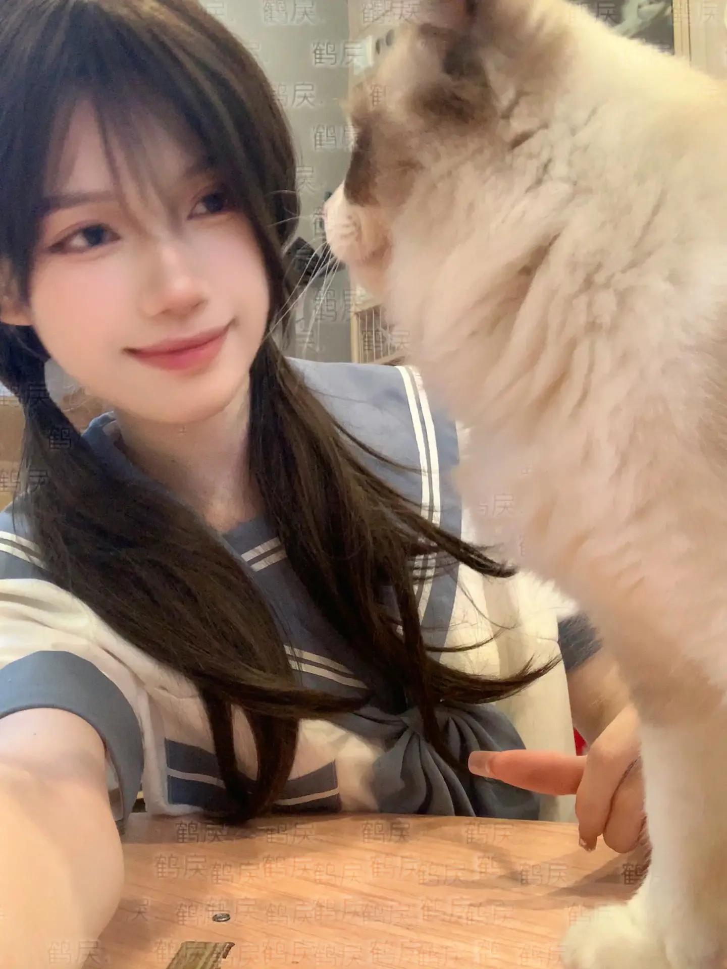 做我的猫