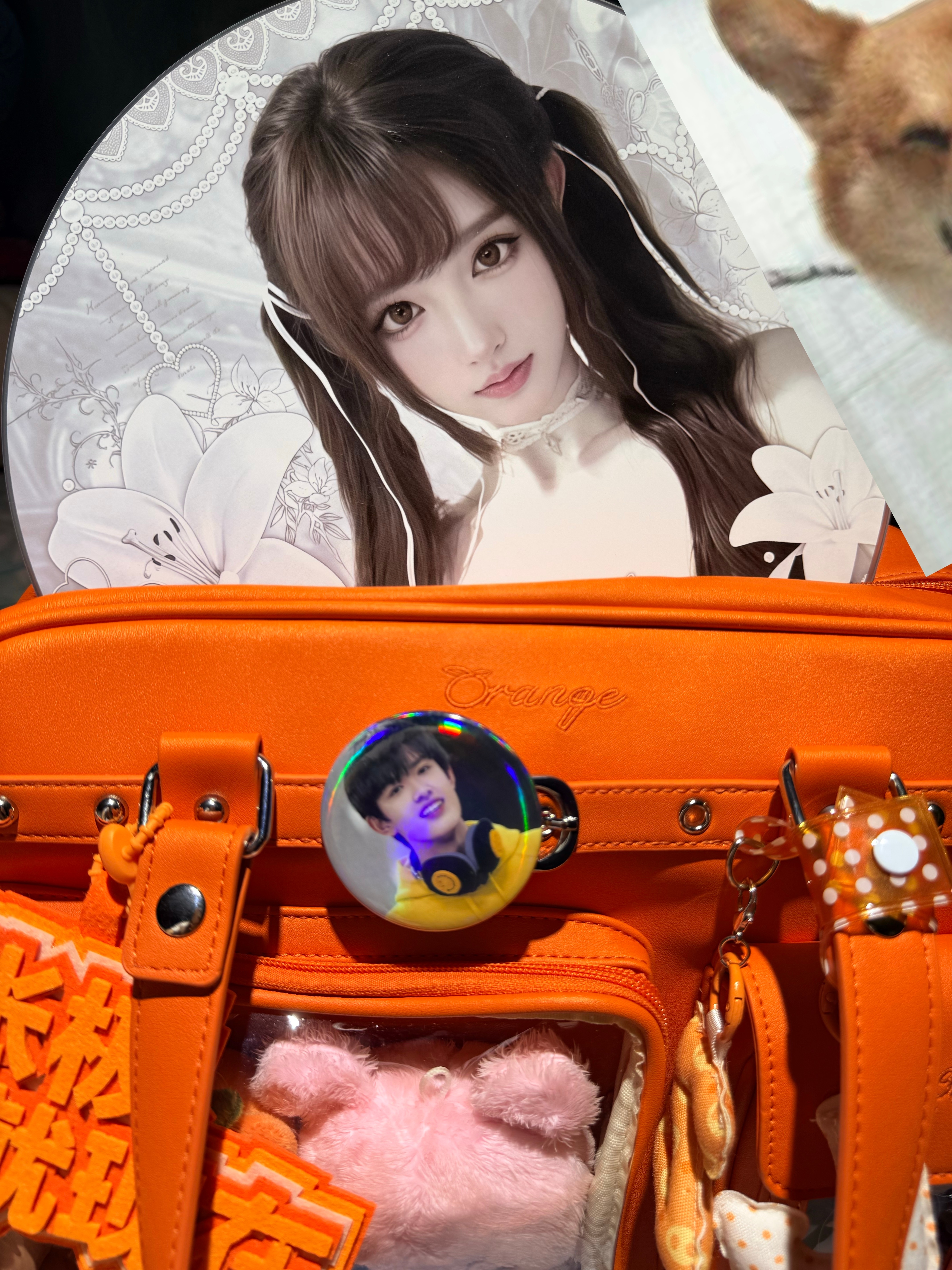 霁霁你太美好了 真漂亮呀