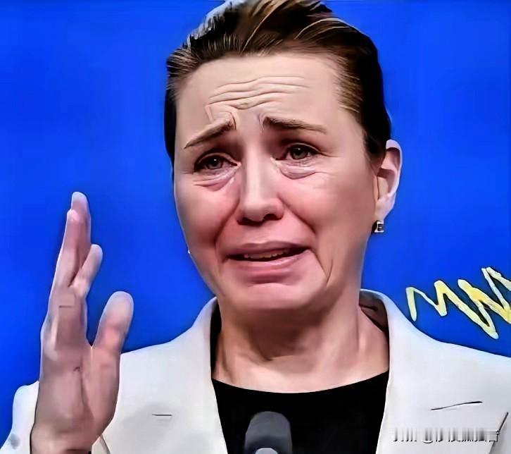 丹麦政府痛恨中国
丹麦的外交大臣拉斯穆森:过去不允许中国对格陵兰岛投资，现在不会