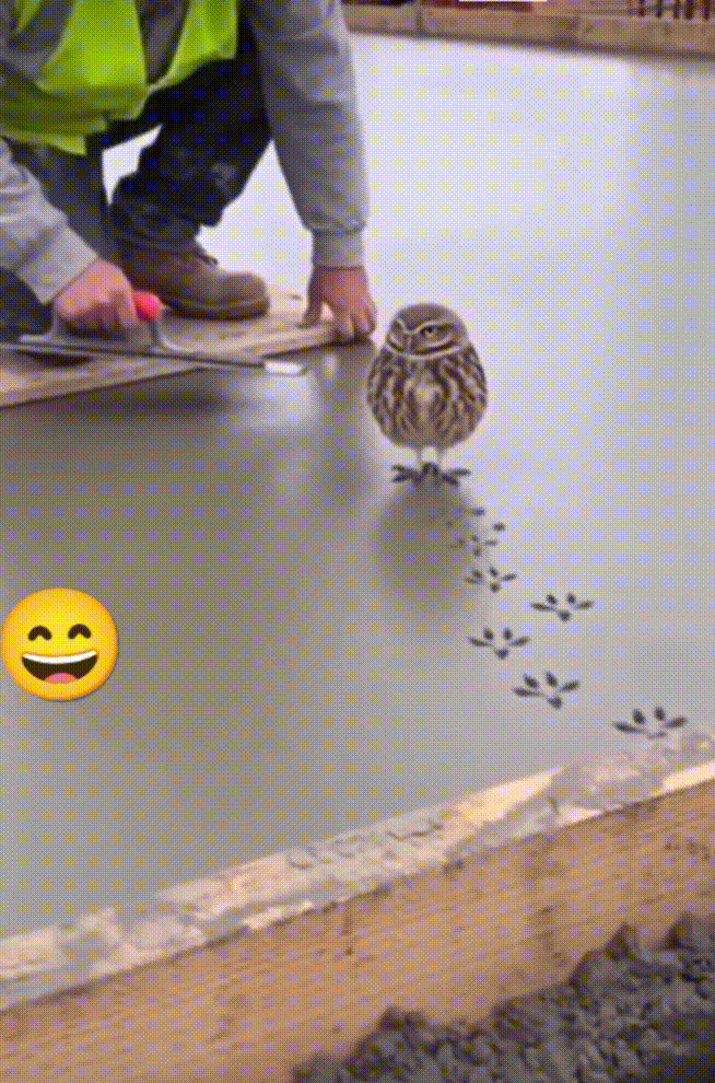 快走开，小东西！不要耽误我干活[我想静静]
