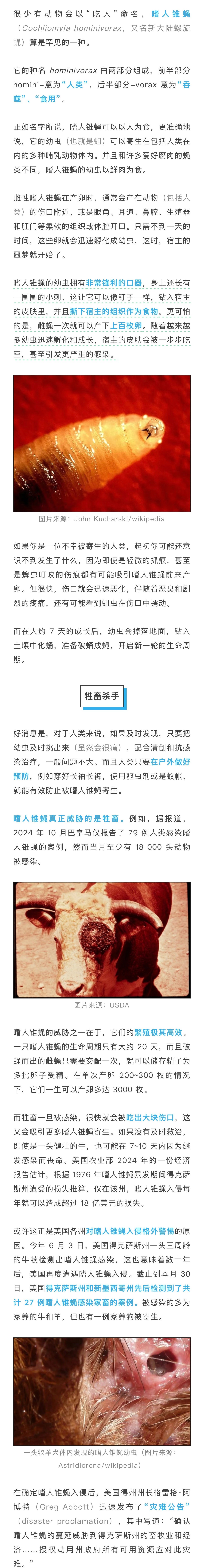 【#生啃人肉的苍蝇正在入侵美国# 得州州长宣布全州进入“灾难状态”】今年6月3日