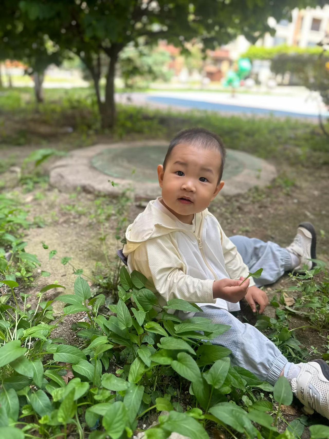 小可爱在公园里探索，好奇地看着镜头