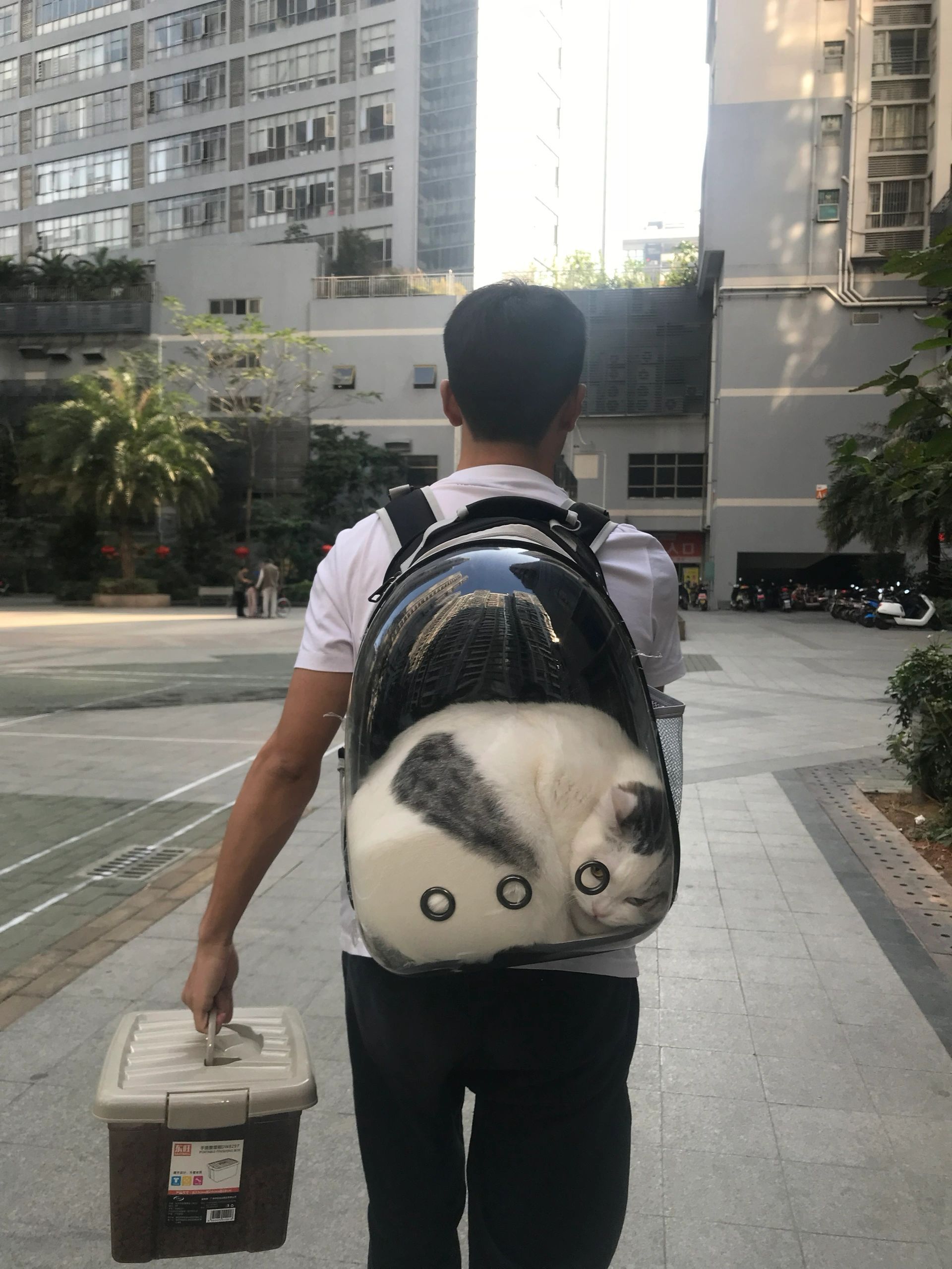 那些年背过的离谱猫包 ​​​