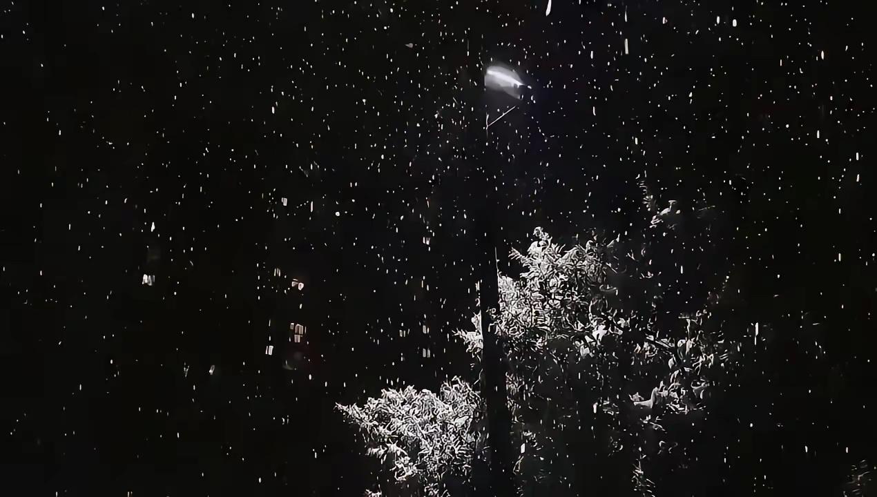 上句:雪落千山静，请写下句