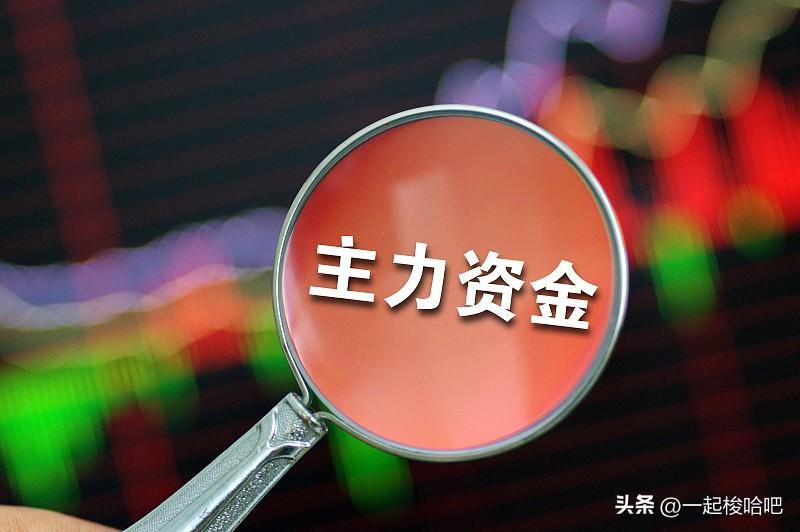 放量反弹，主力加速流入，科技王者归来，释放了什么信号？接下来如何应对？
在隔夜利