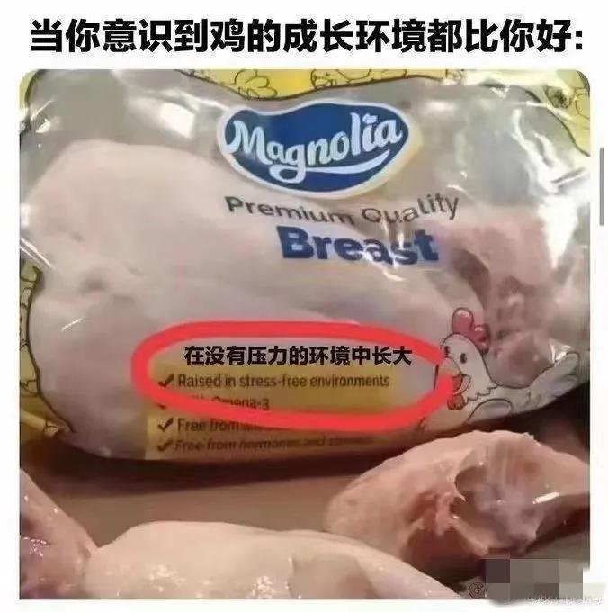 我的成长环境竟然还不如一只鸡[流泪]