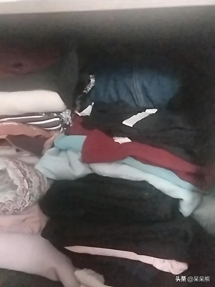 整理了一下我的衣服，衣服都给放柜子里面了