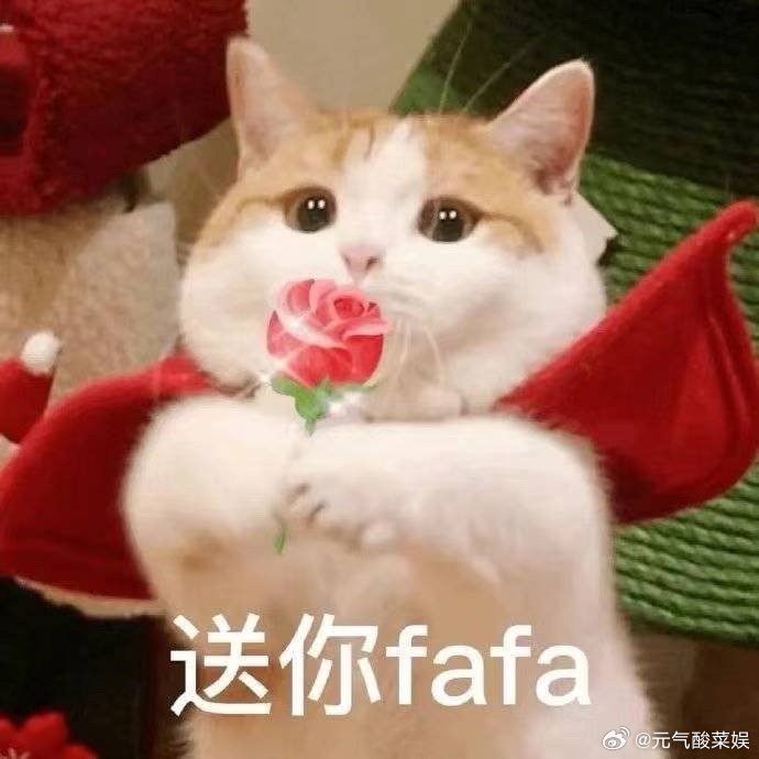 #爸爸10年暑假带娃打卡200多处古建筑#感觉这孩子以后学历史会很容易，因为他一