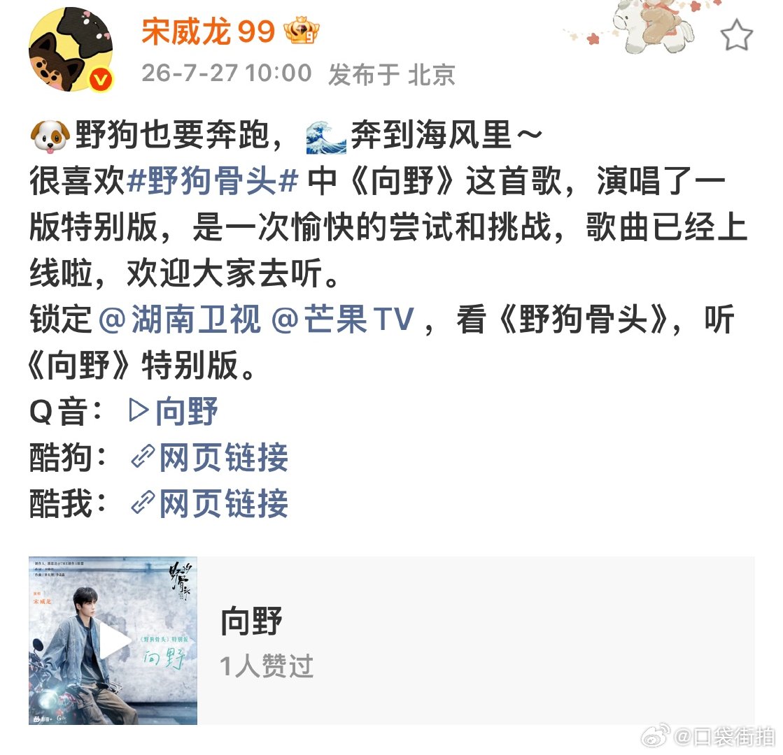 宋威龙唱向野特别版宋威龙唱了向野特别版宋威龙唱了《向野》特别版，听起来 野狗骨头