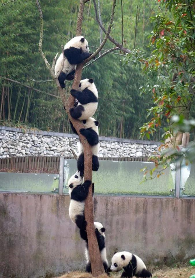 现在出现一个怪现象，我们公司招人招不上来，想必找工作的也找不到吧！这中间到底是哪