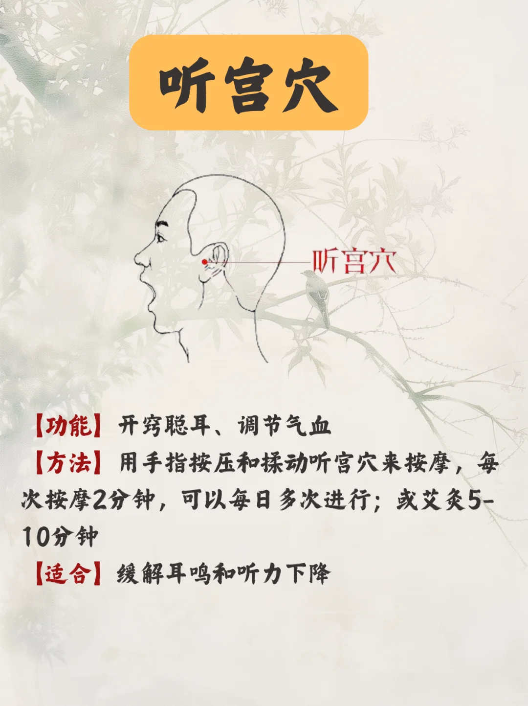 耳鸣，揉揉这儿（附图）