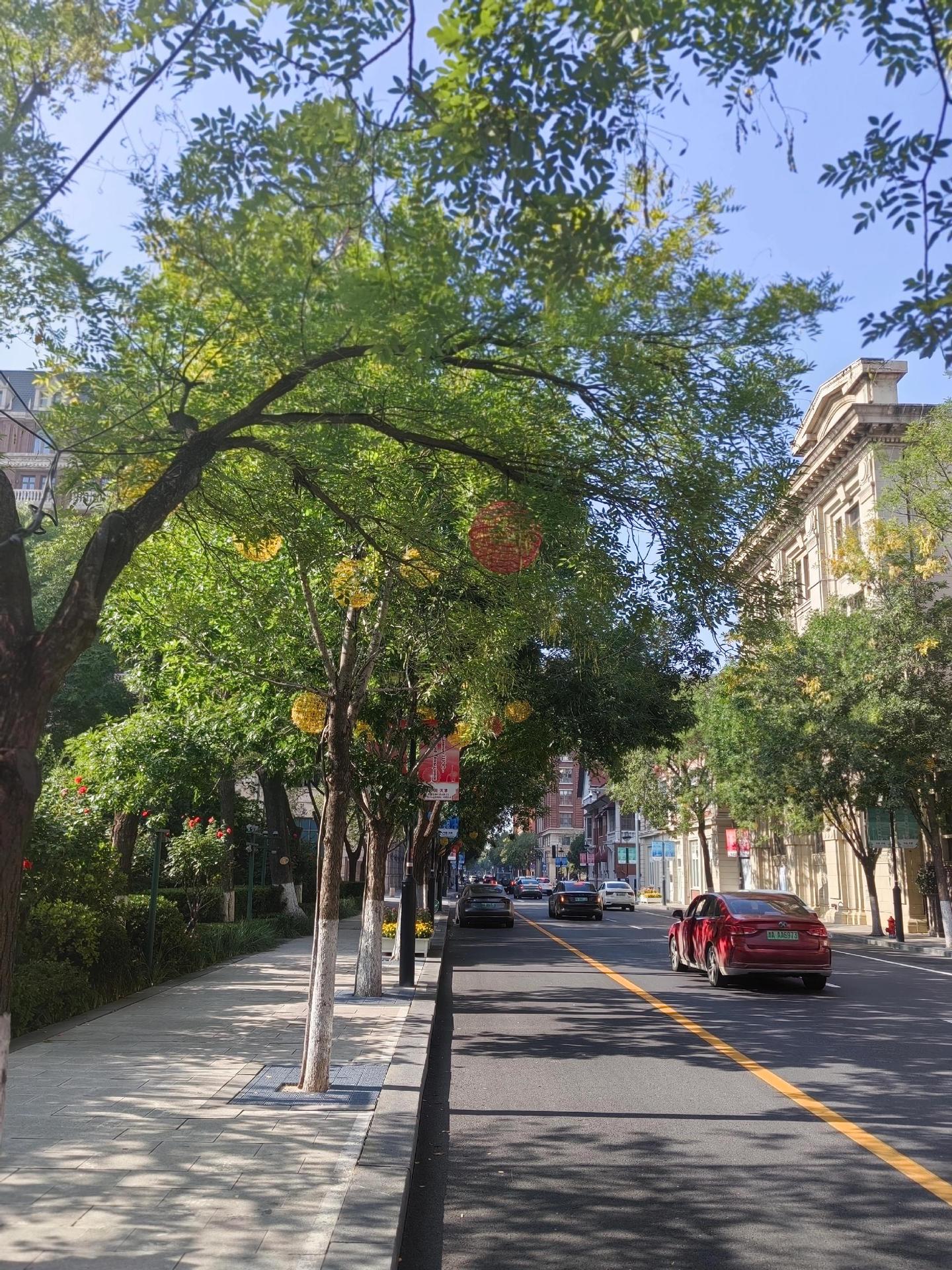 美丽城市的街口，恰似人生的路口。