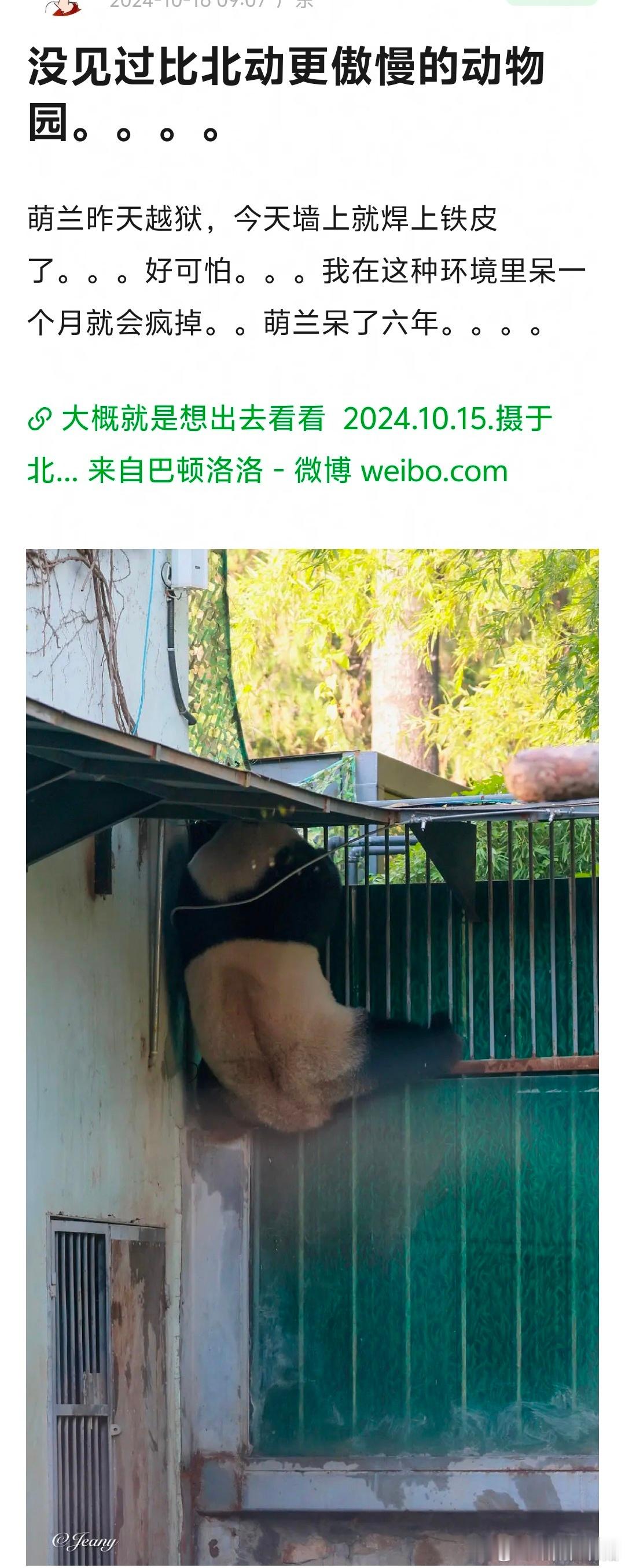 萌兰昨天越狱之后，今天墙体就全用铁皮都封堵上了。北动🐼场馆是真的不行，内舍环境