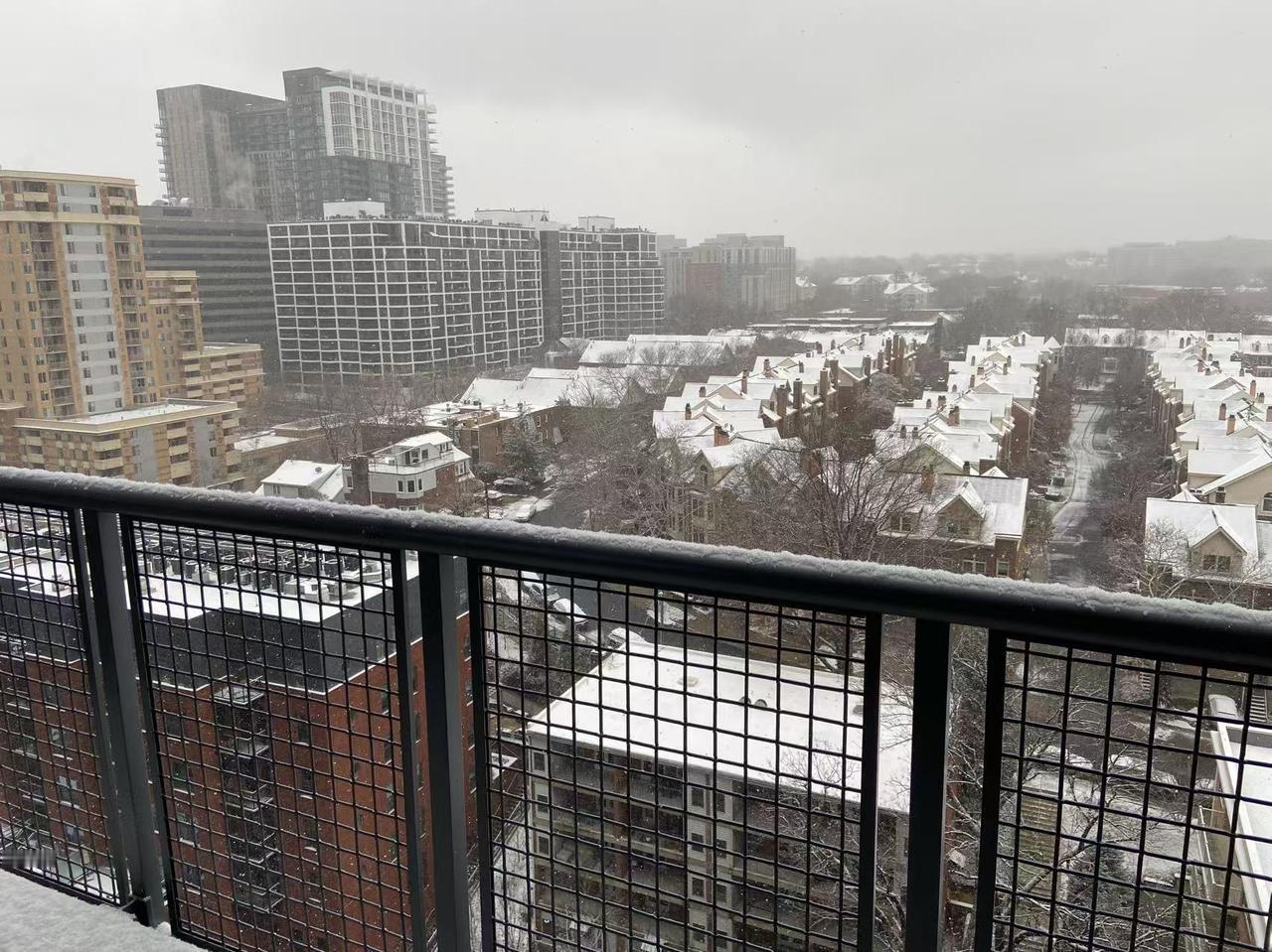 今日大雪，仲冬正式拉开帷幕。窗外还不见雪影，手机里却躺着远在异国的孩子发来的雪景