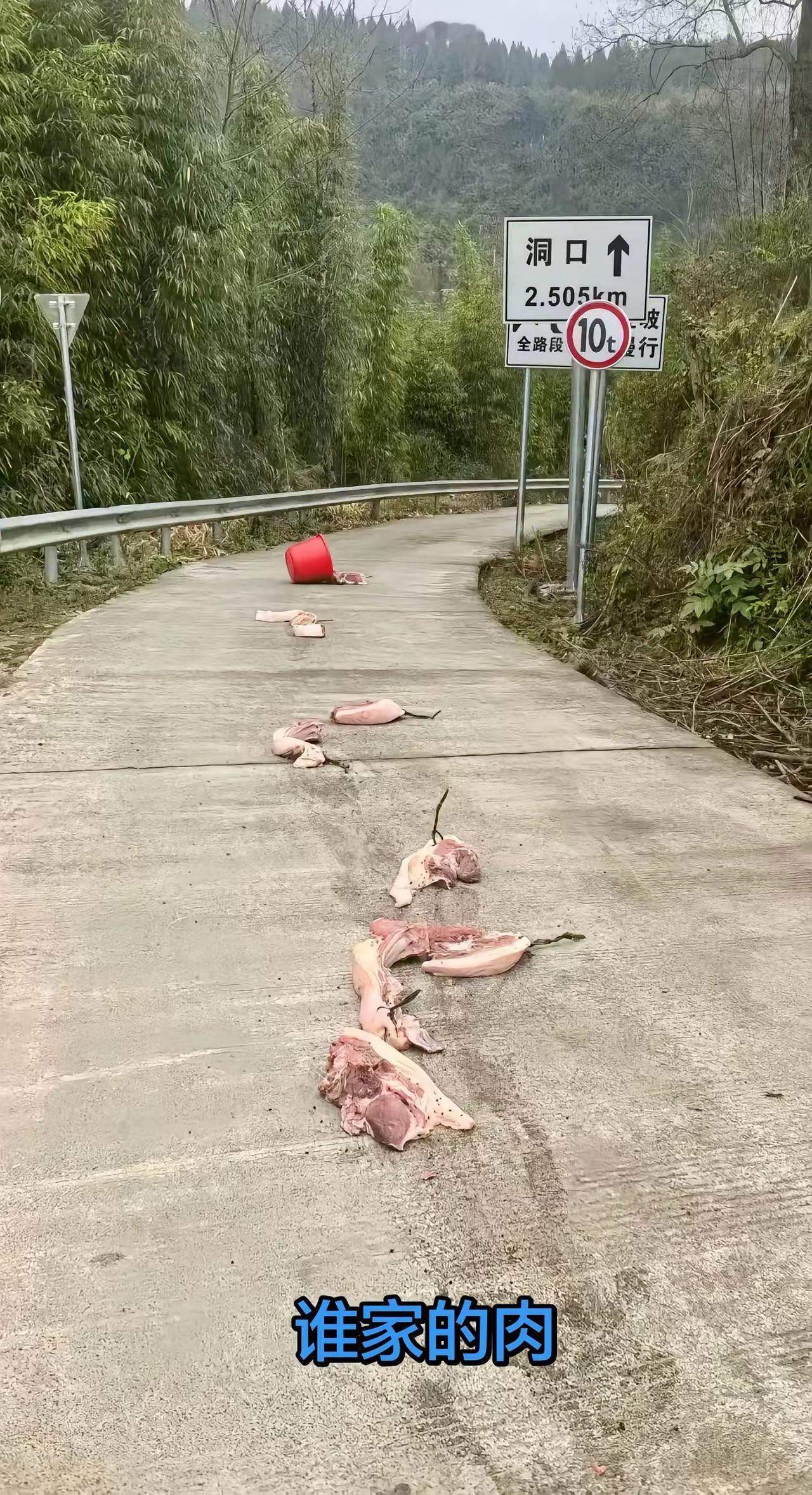 什么家庭啊？[捂脸][捂脸]肉掉在马路上都不捡了吗？这个图片在网上被网友转发了无