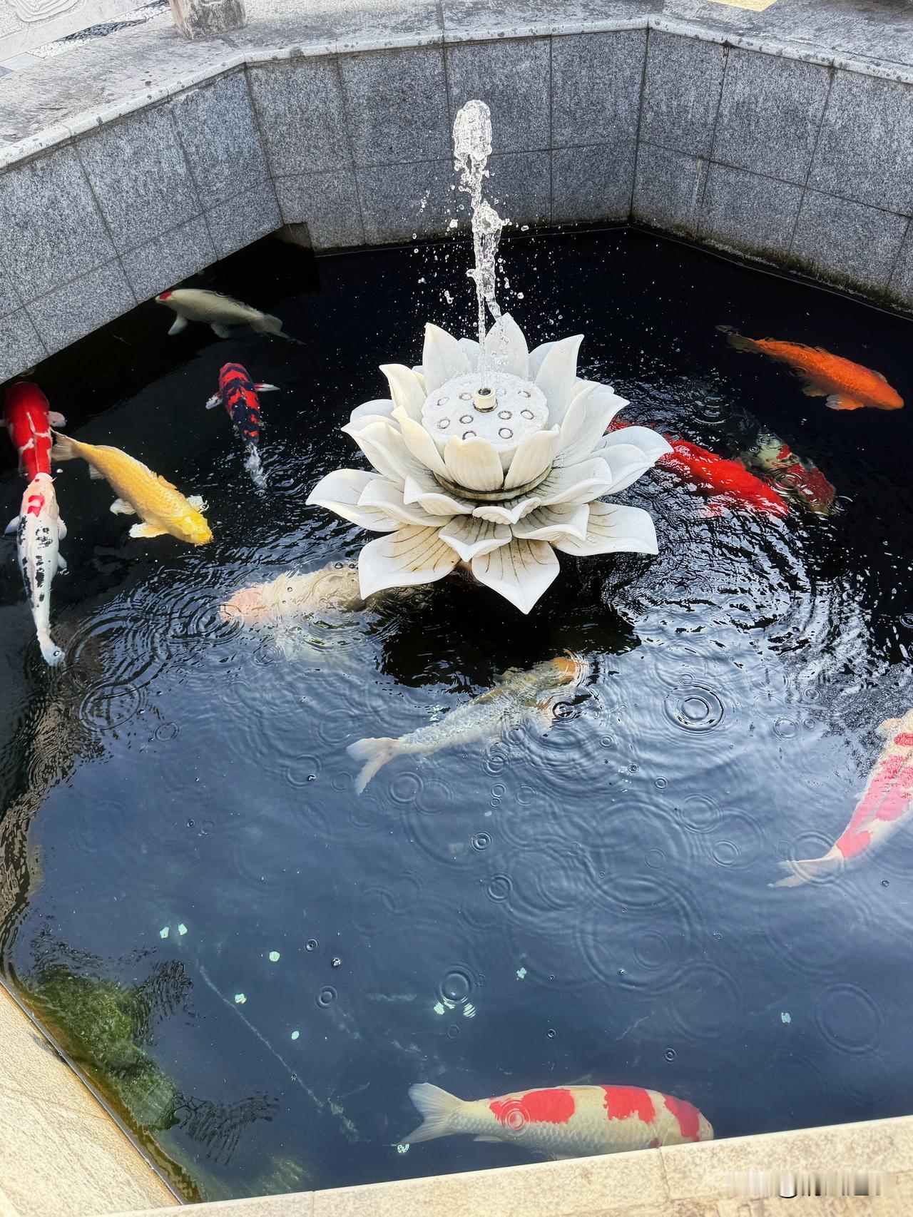 我听过最励志的文案
不是“风雨过后必有彩虹”
而是“允许一切发生”

我们总困在