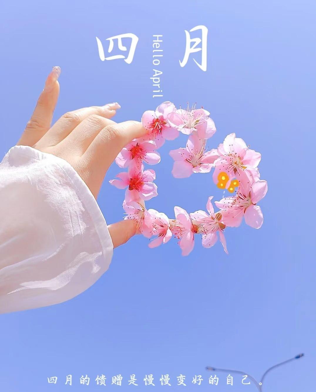 四月花开，愿你我美好如期而至[玫瑰][玫瑰][玫瑰]
