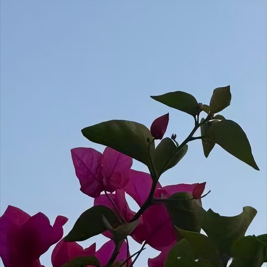 今年53岁的法学博士邹广履新
 
近日，该同志履新。
 
该同志曾经获得法学博士