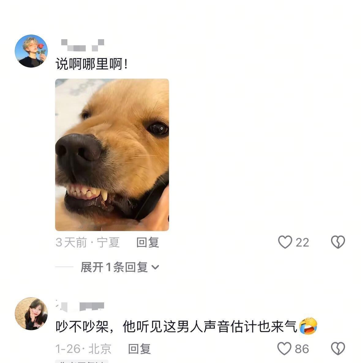 给狗都听生气了😂狗子：我好不容易才安慰好 你个犊子又打电话来 