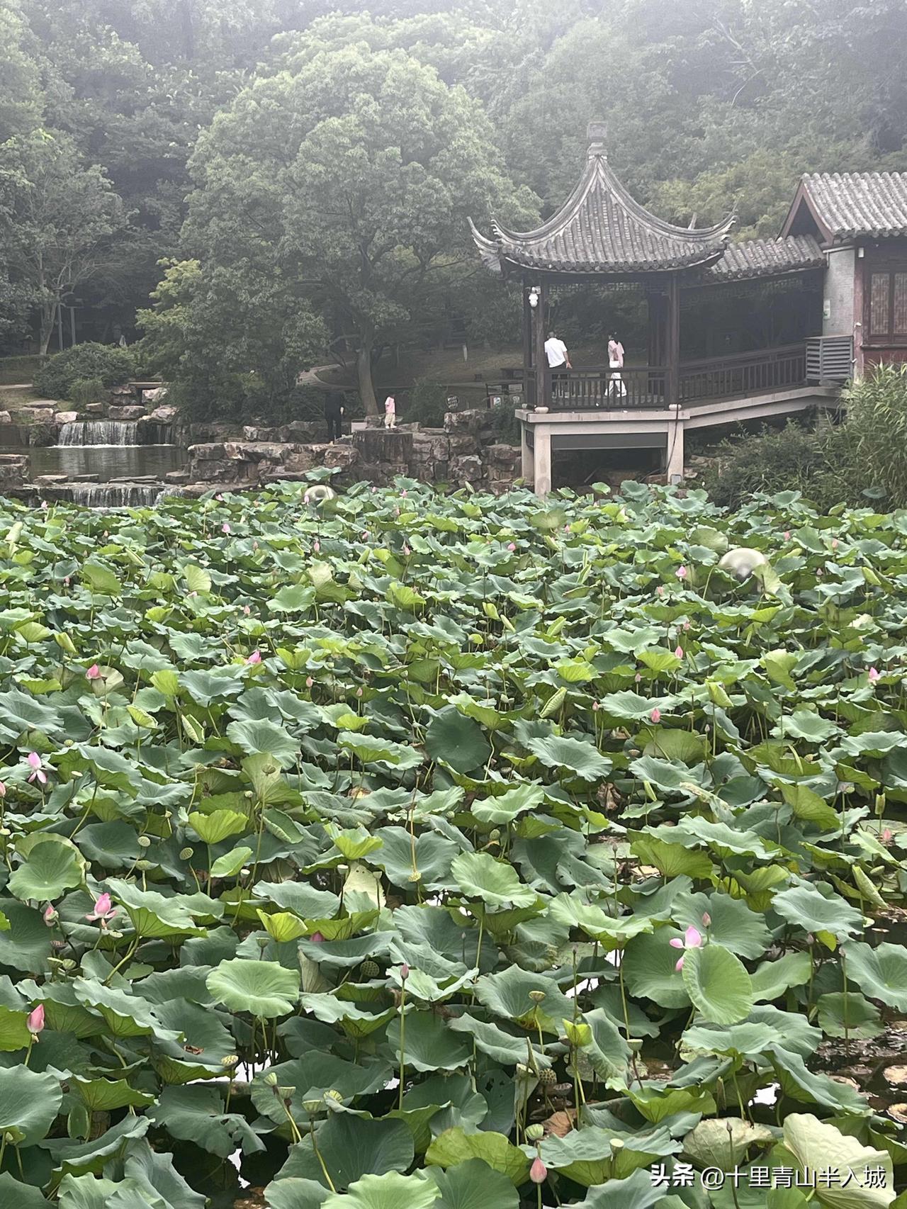 前晚上发个小财800元。

当时已是晚上21点3 7分，我跟小女儿正在视频，突然