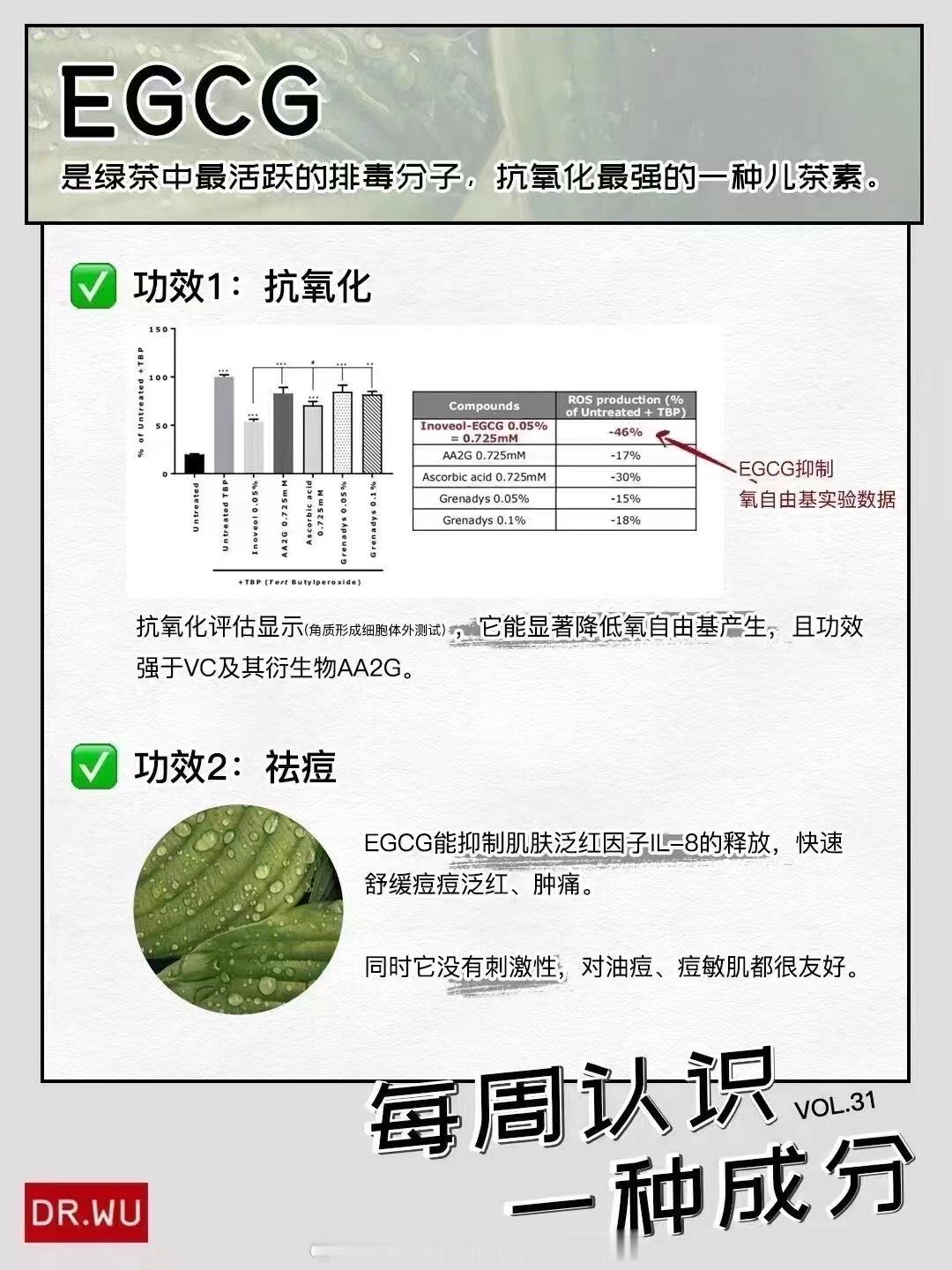 🟩【关于𝗘𝗚𝗖𝗚】不仅可以阻断旨肪 护肤品也在卷这个成分因为它还可以抗