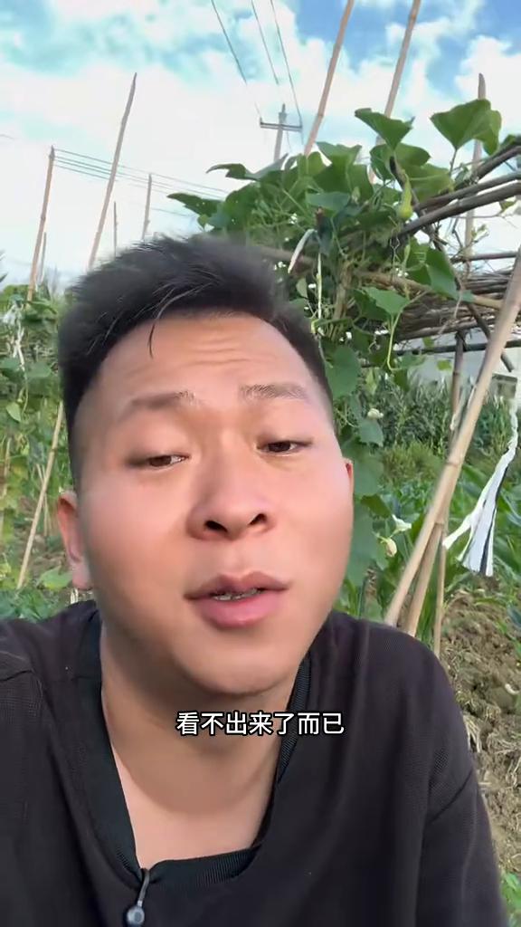 今天我就把这插了牙签的黄瓜切开给你们看一下。其实它远远不止插了这么一根，里面还有
