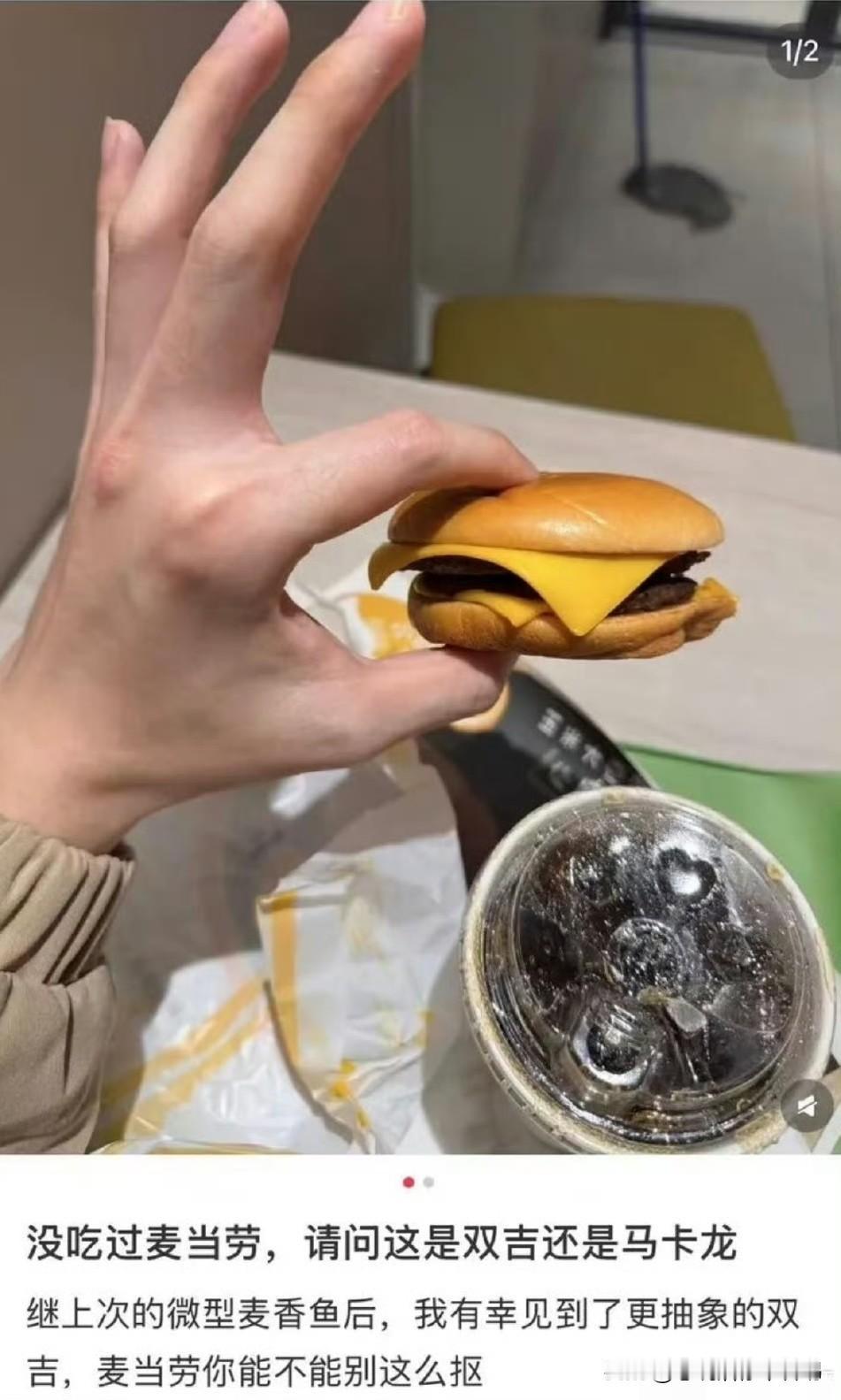 到底是我们长大了？还是汉堡变小了？
记得小时候吃汉堡一个汉堡吃半天都吃不完，一杯