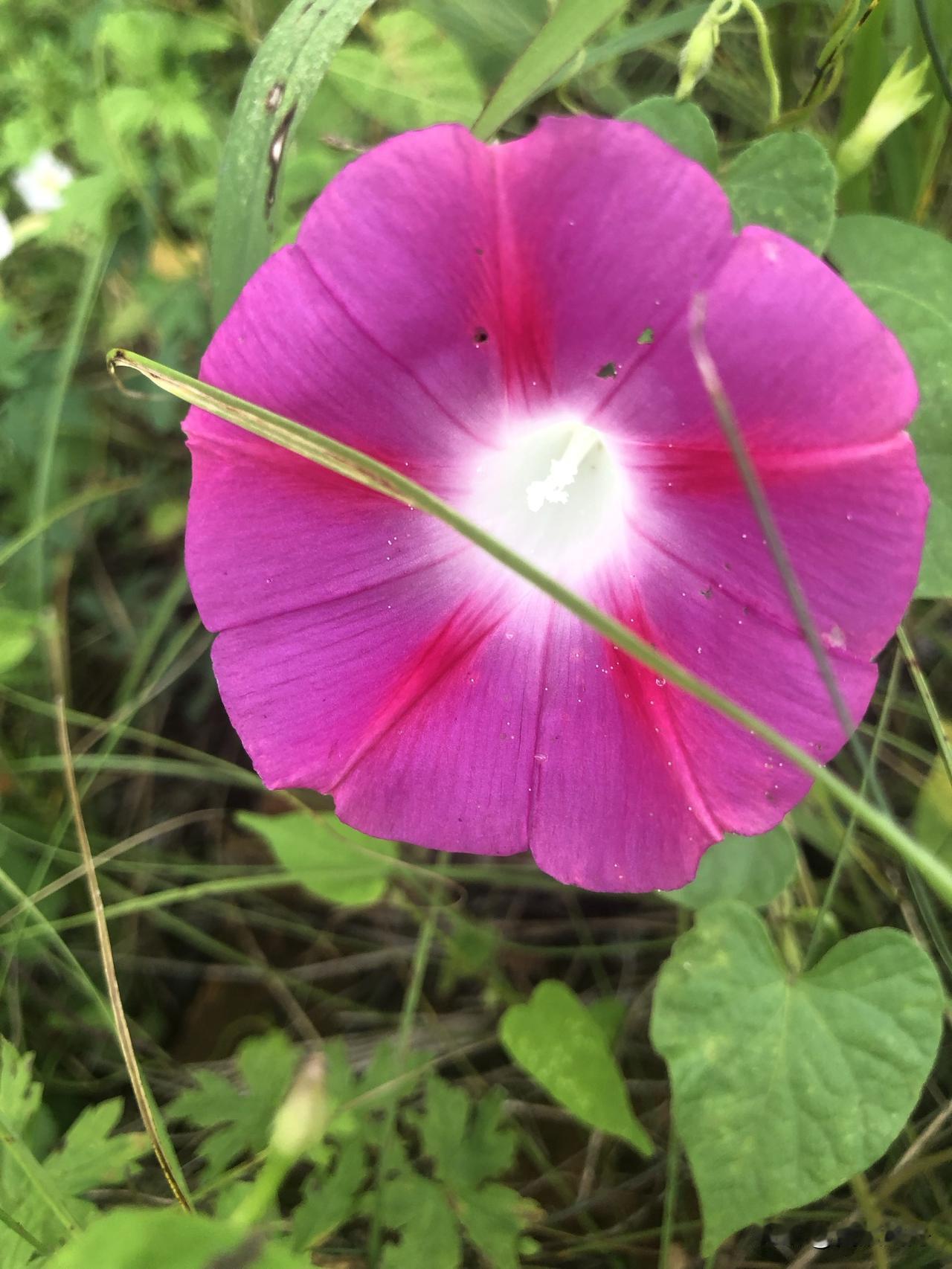 近一周热点太燃了！民生福利扎堆+科技体育双开挂

近一周的热点真的全是料，民生福