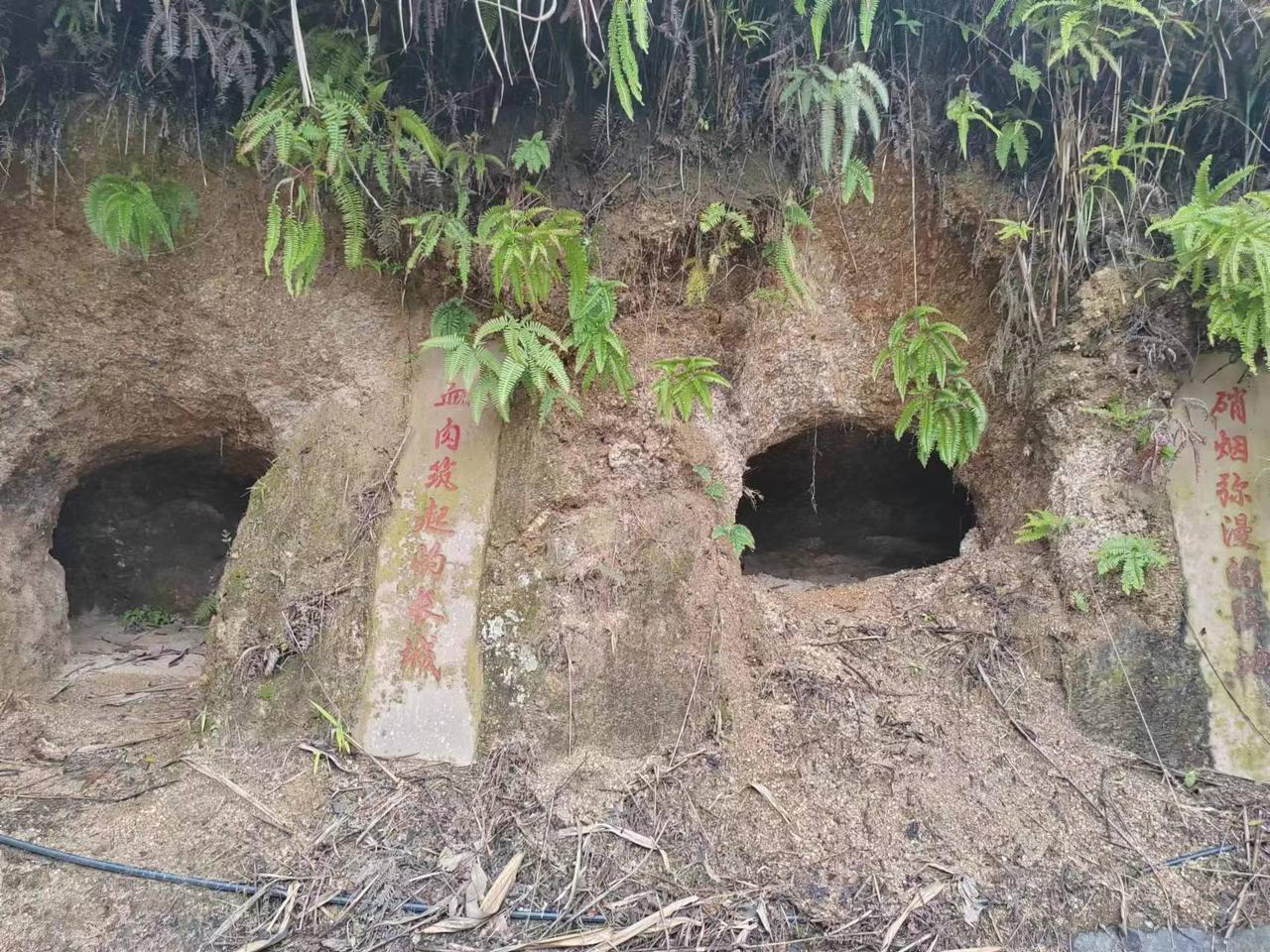 历史回忆南疆烽火时期的猫耳洞人生活写照。铭记那段历史，致敬所有参战者