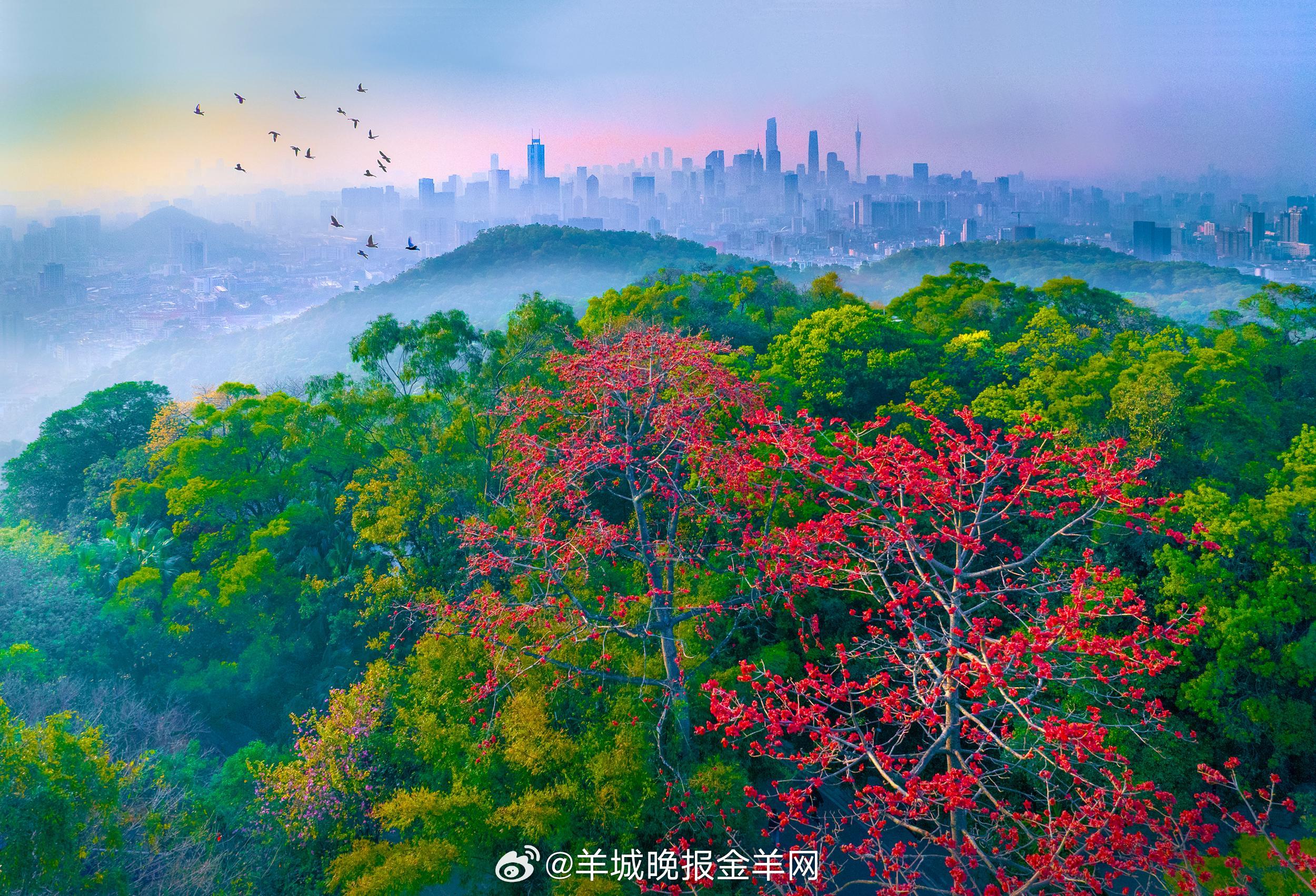 #早安#把今天的每一小步走得稳稳当当，才能逐步汇聚成明天通往成功的一大步。相信时