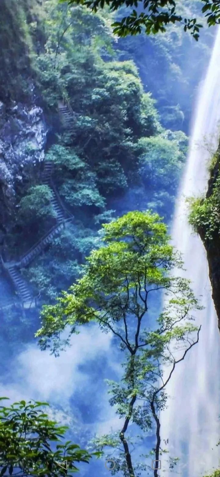 雪问梅花风问柳，
霜观麦叶雾观松。