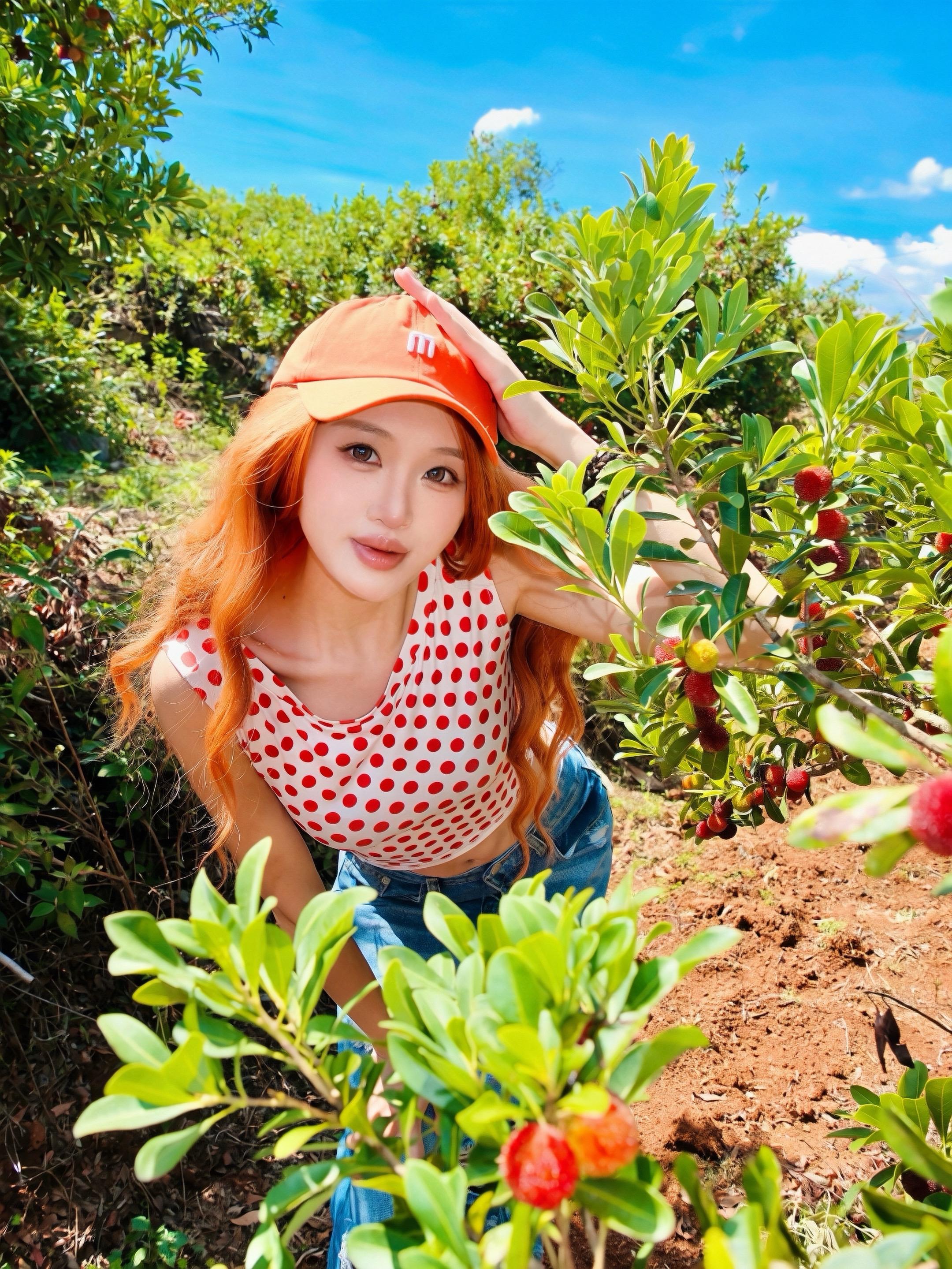 甜甜的夏天“梅”烦恼。摘杨梅咯～咬一口酸甜的夏天