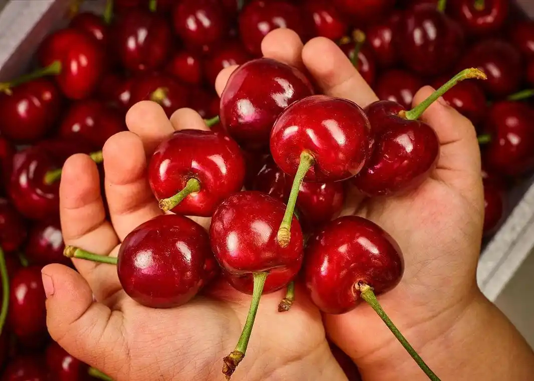 你们今年吃车厘子了吗？我还没吃呢，不过看了这个有点搞笑了，降价原来是以小充大啊？