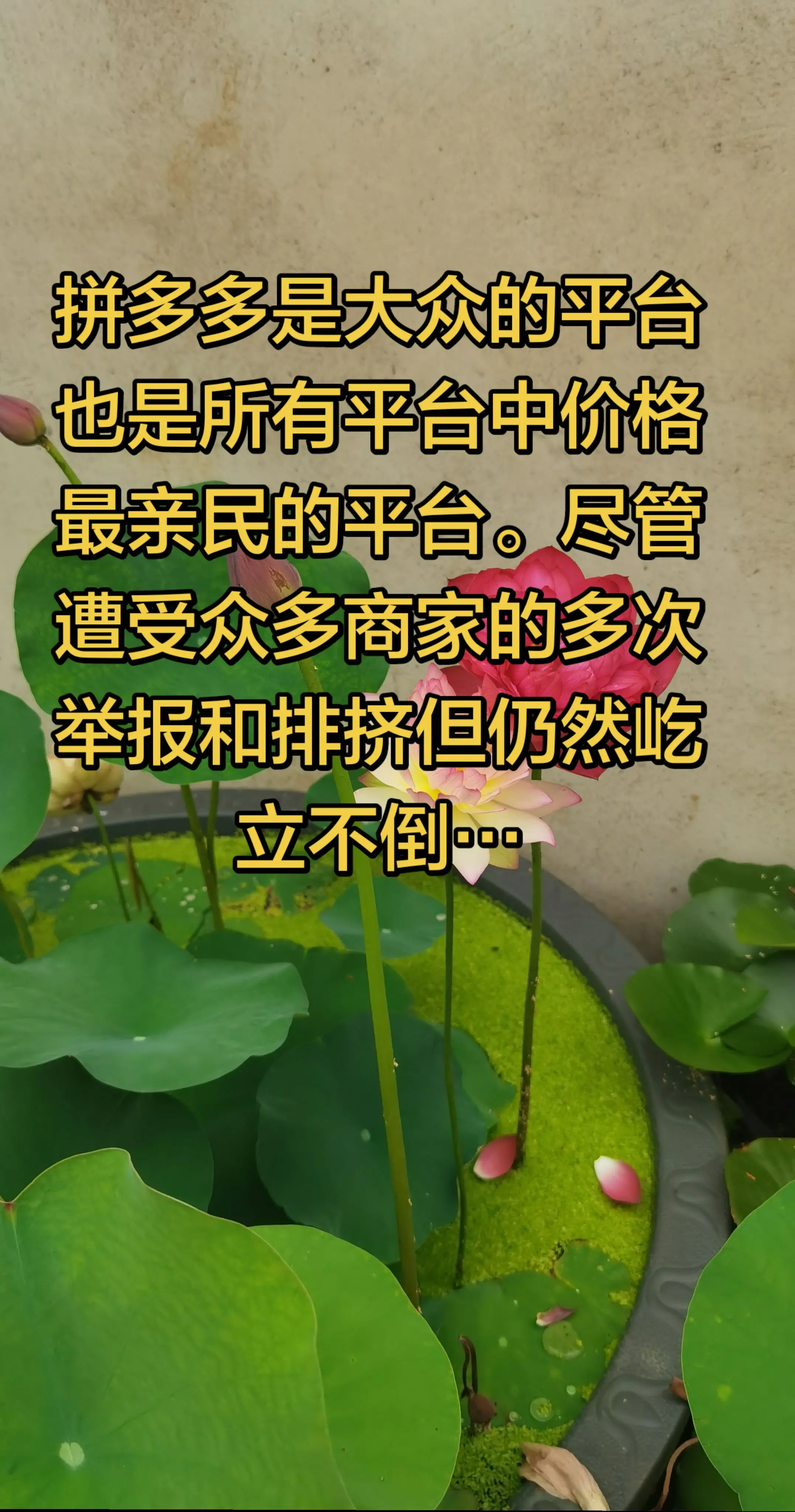 在所有平台里买东西只有拼多多最便宜。一个真正为人民群众服务的好平台谁也打不垮。