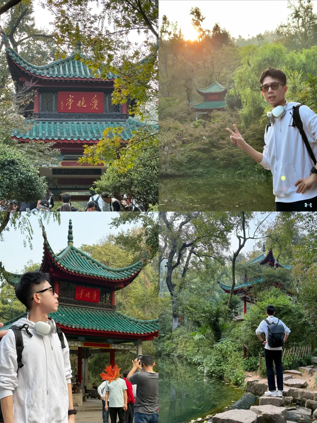 不用爬山！爱晚亭的三个宝藏拍照机位🍁